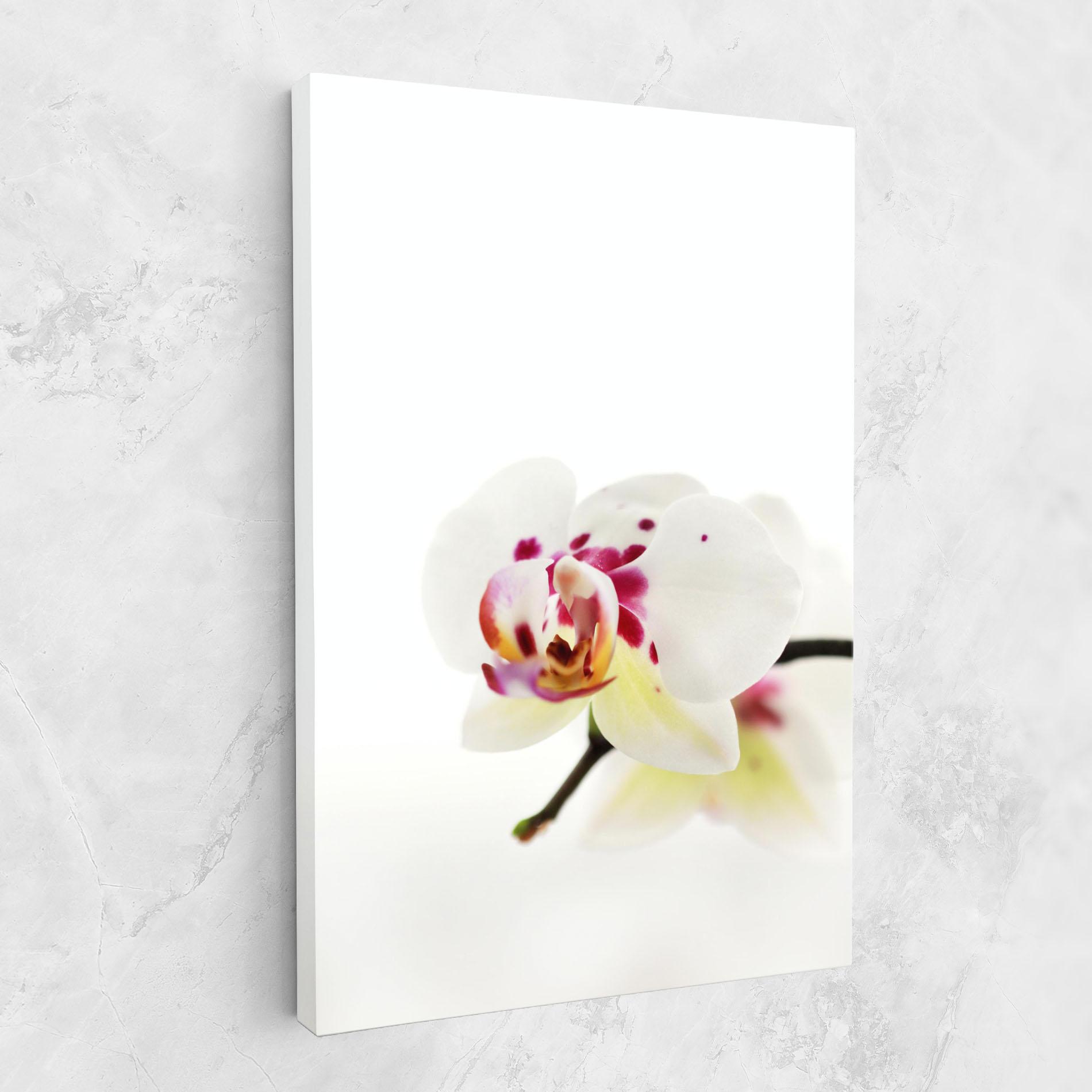 Картина на платно Clean White Orchid mockup 1