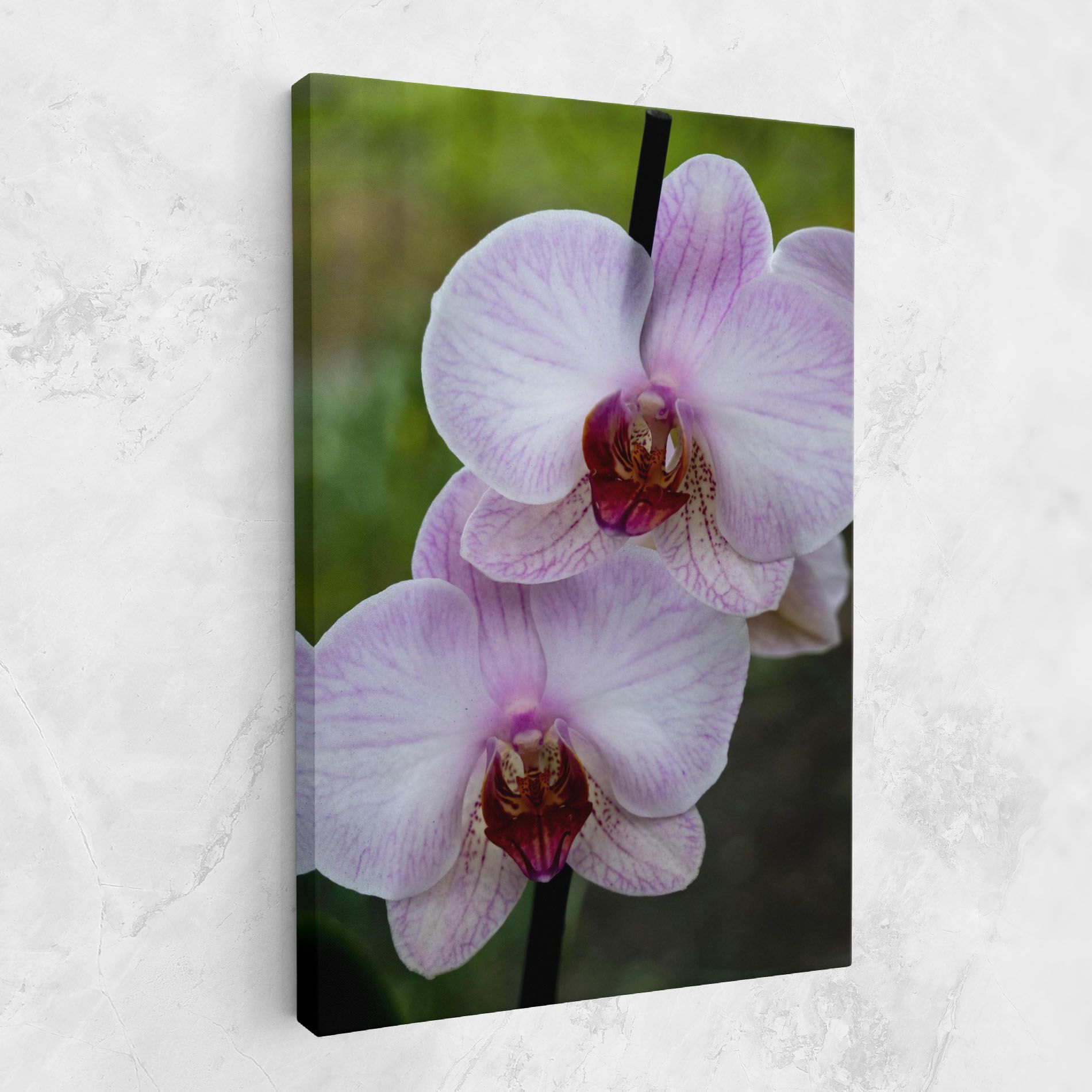 Garden Light Purple Orchid mockup 1
