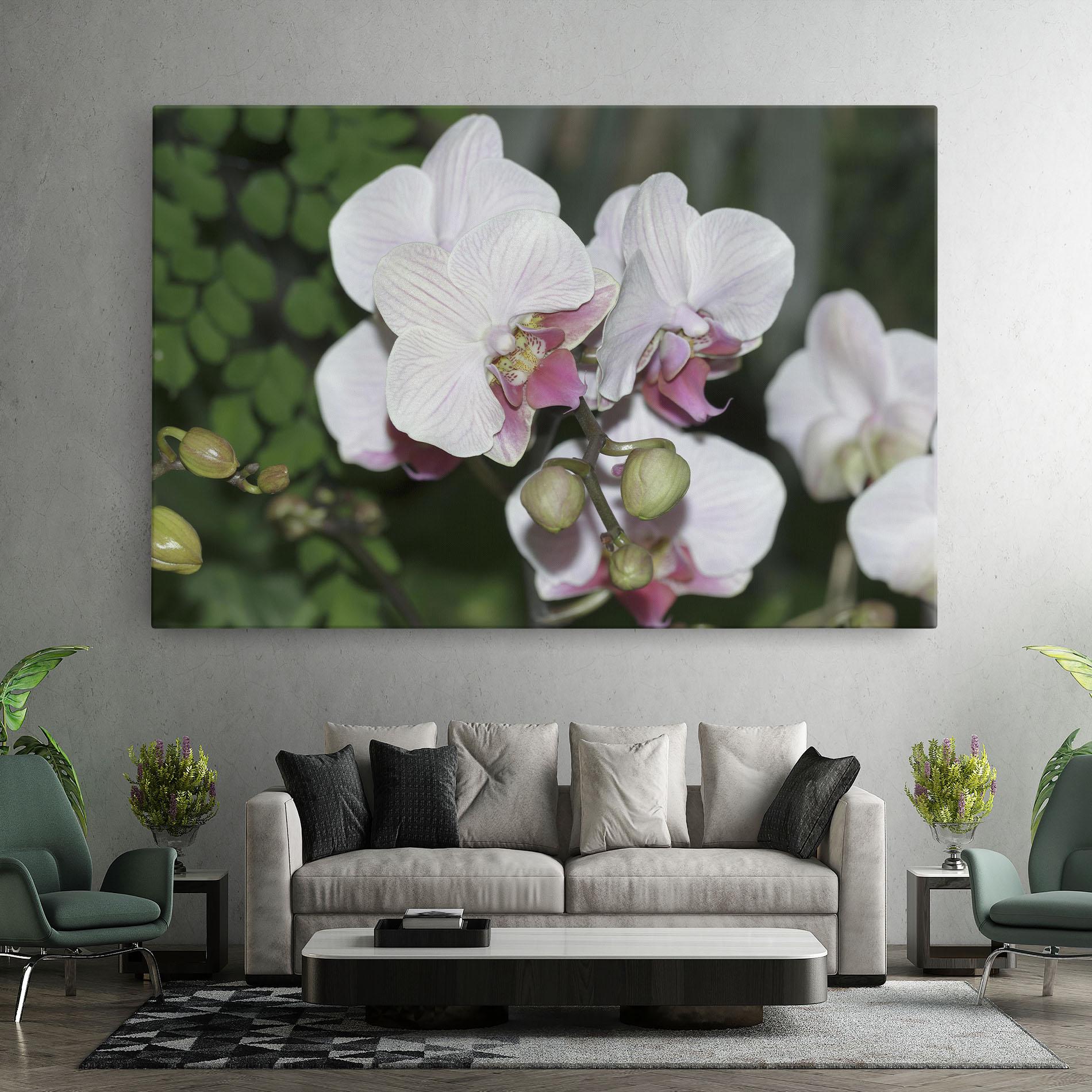 Картина на платно Orchid Botanical Garden mockup 7