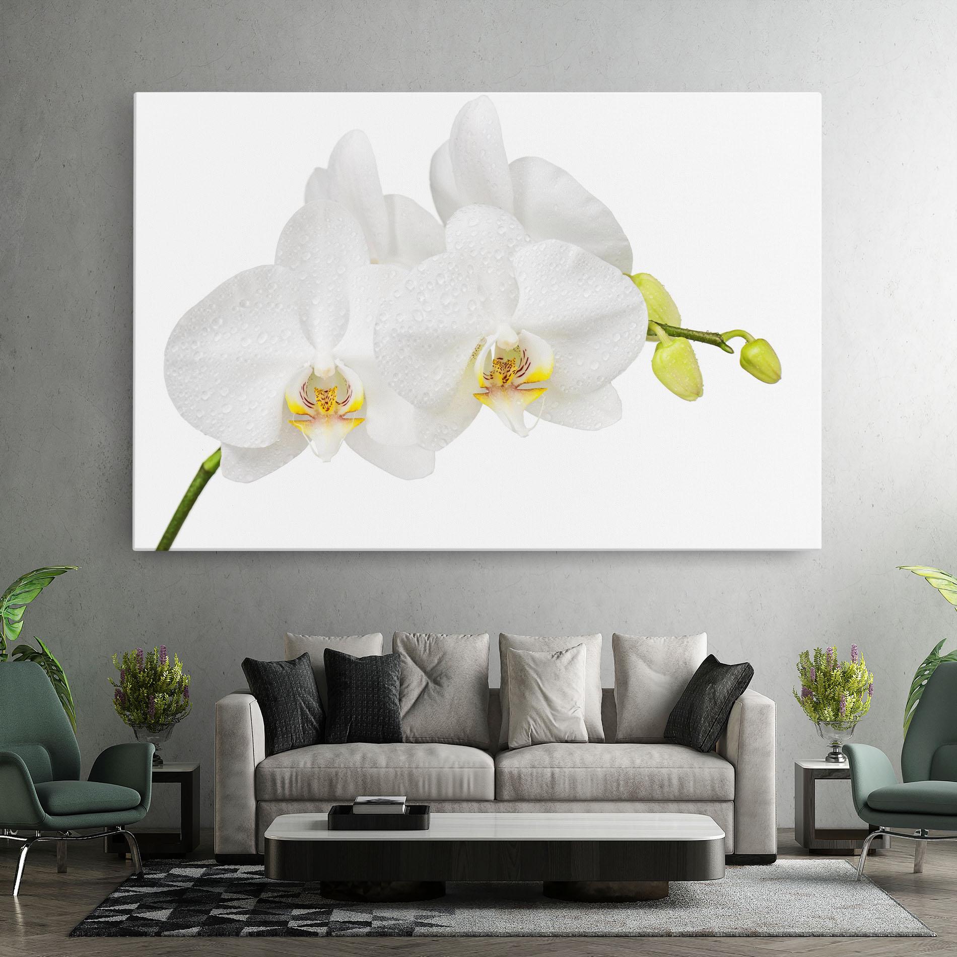Картина на платно Orchids On White mockup 7