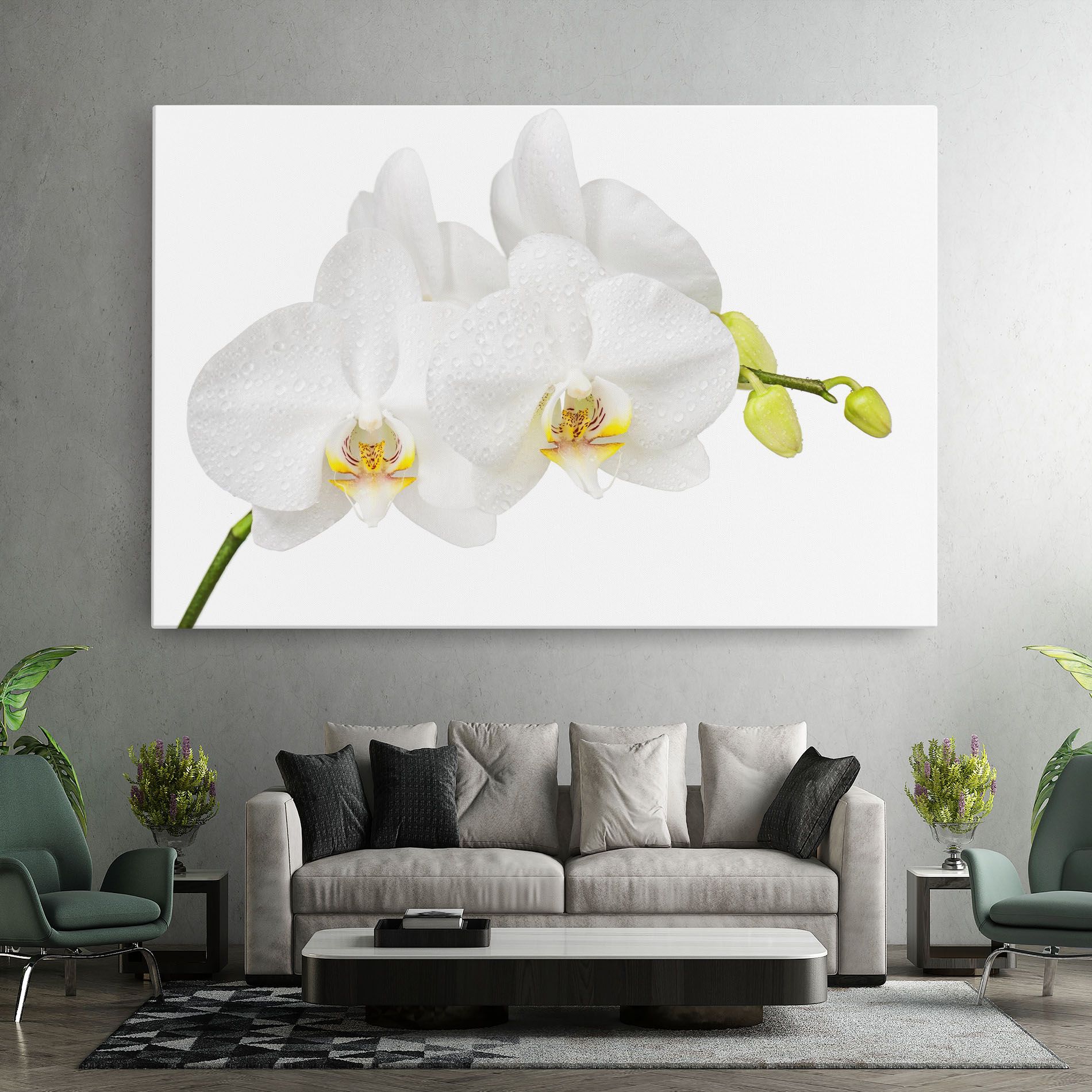 Orchids On White mockup 7