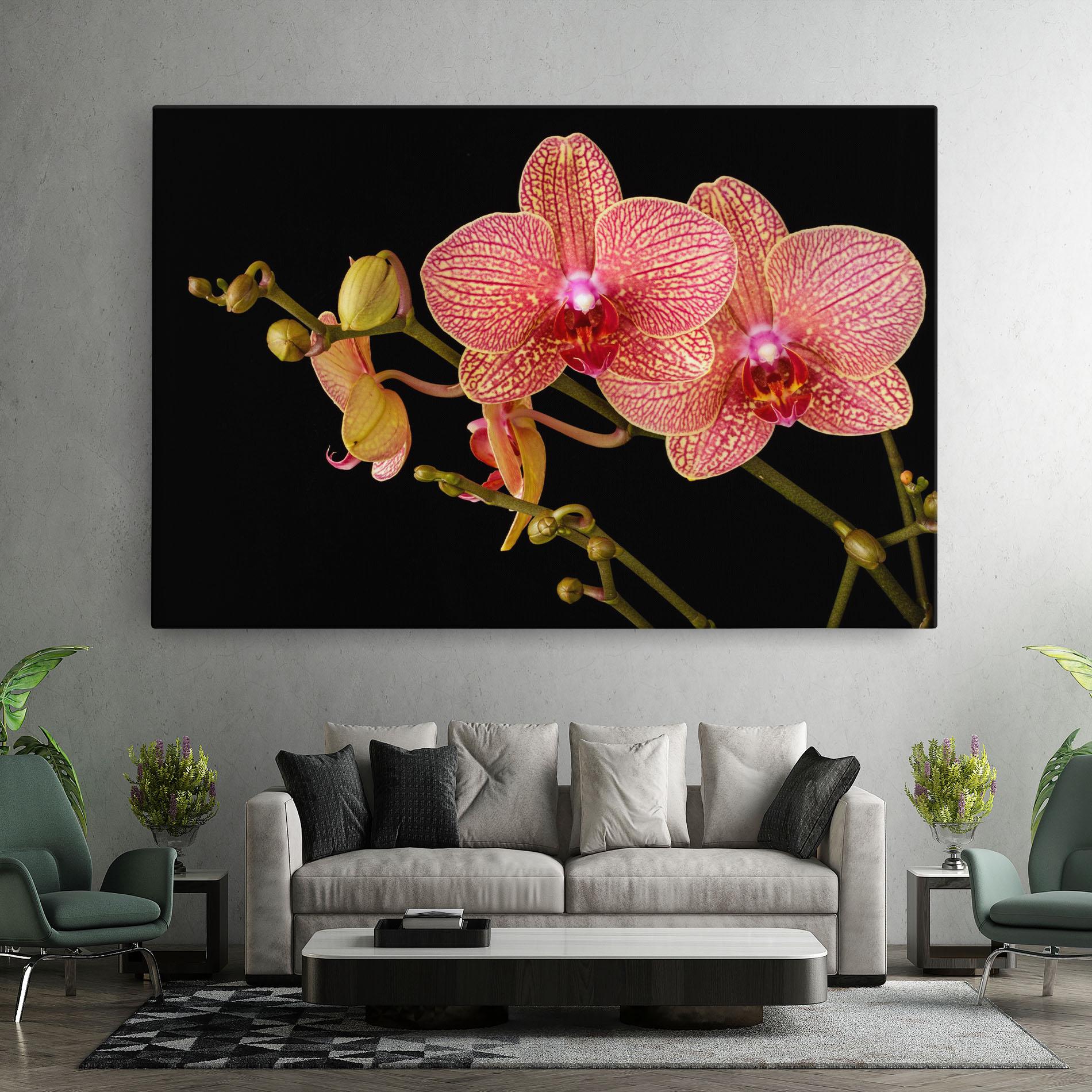 Картина на платно Pink Orchids On Black mockup 7
