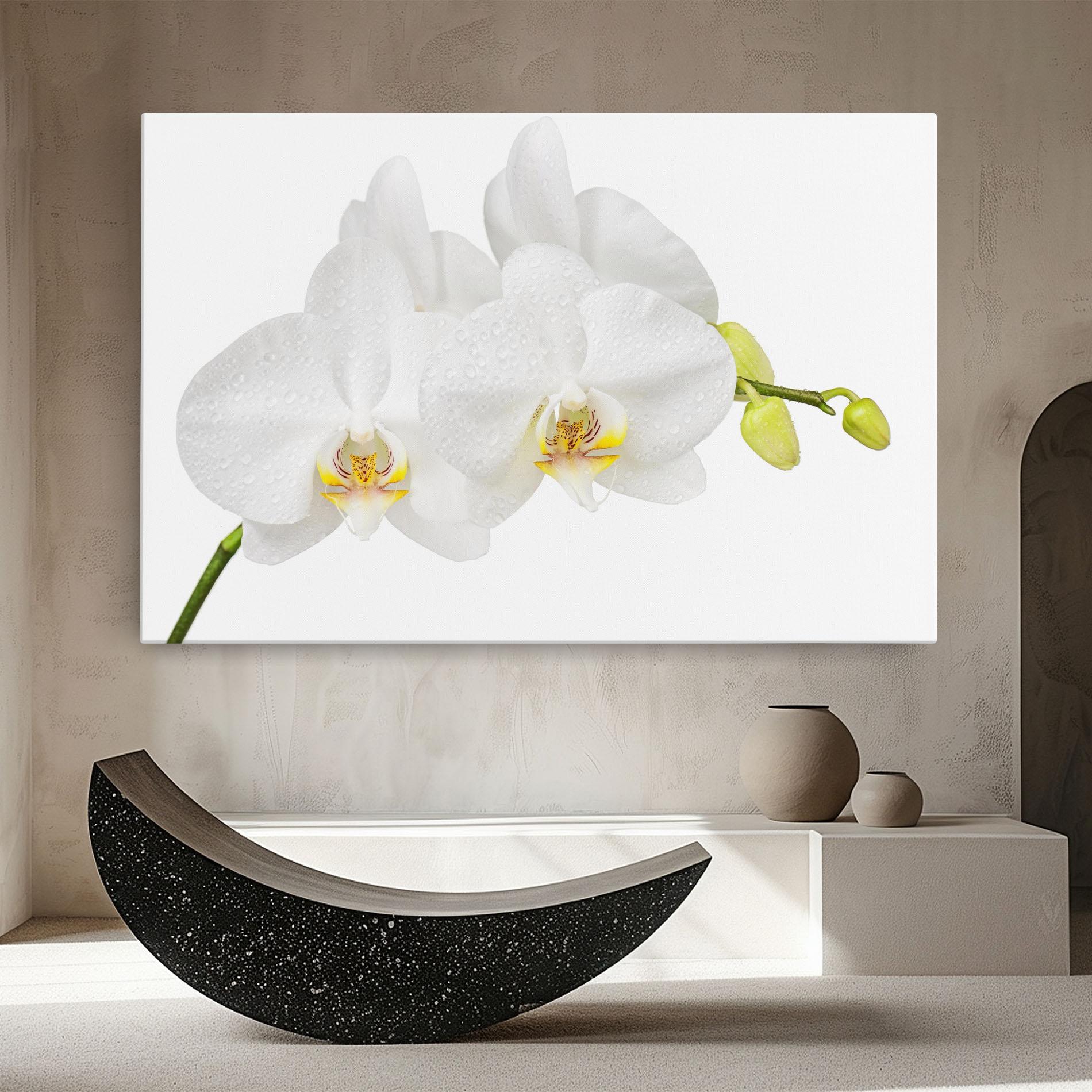 Картина на платно Orchids On White mockup 8