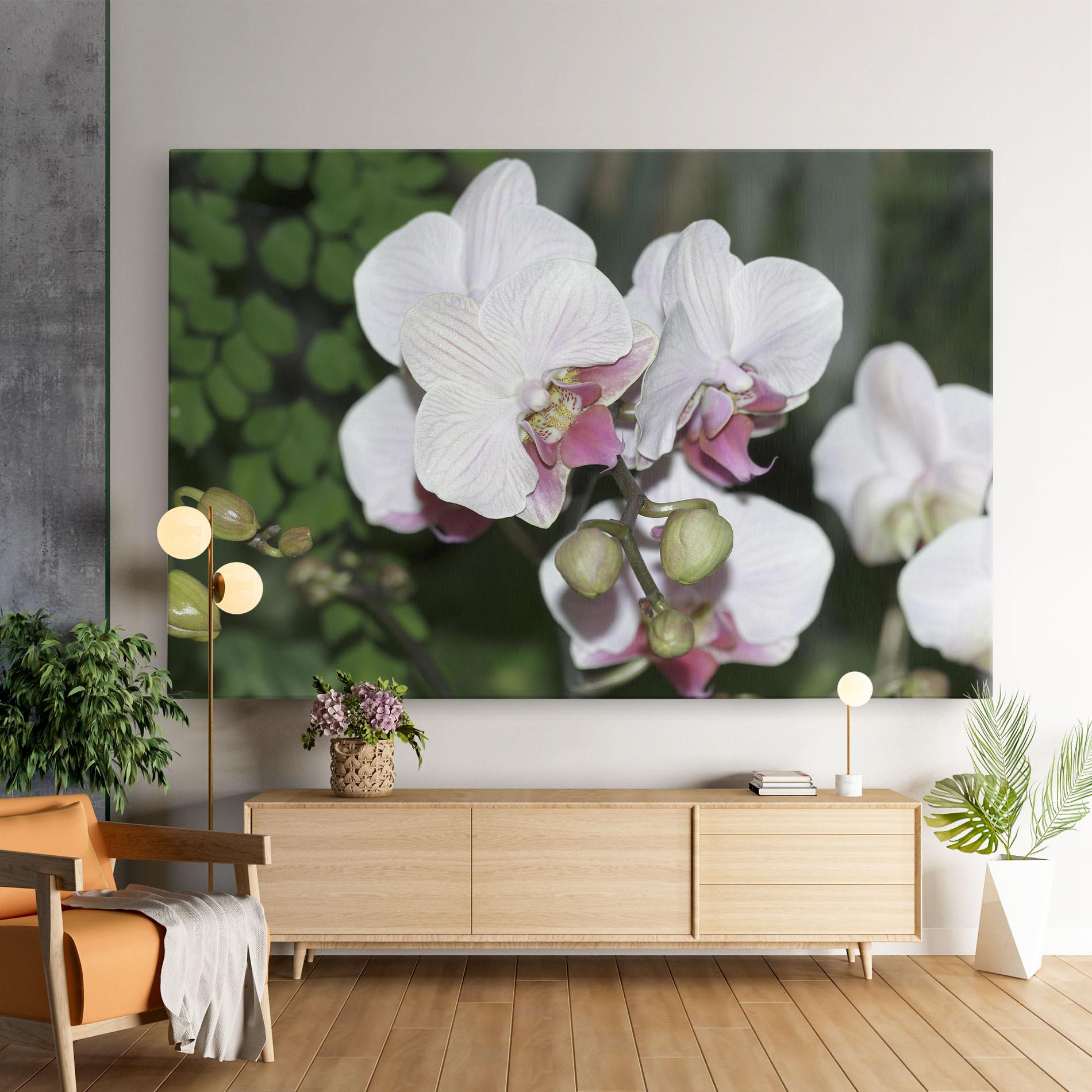 Картина на платно Orchid Botanical Garden mockup 9