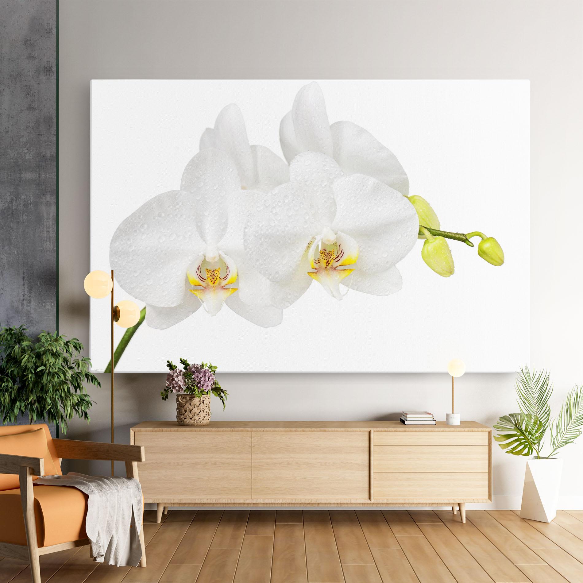 Картина на платно Orchids On White mockup 9