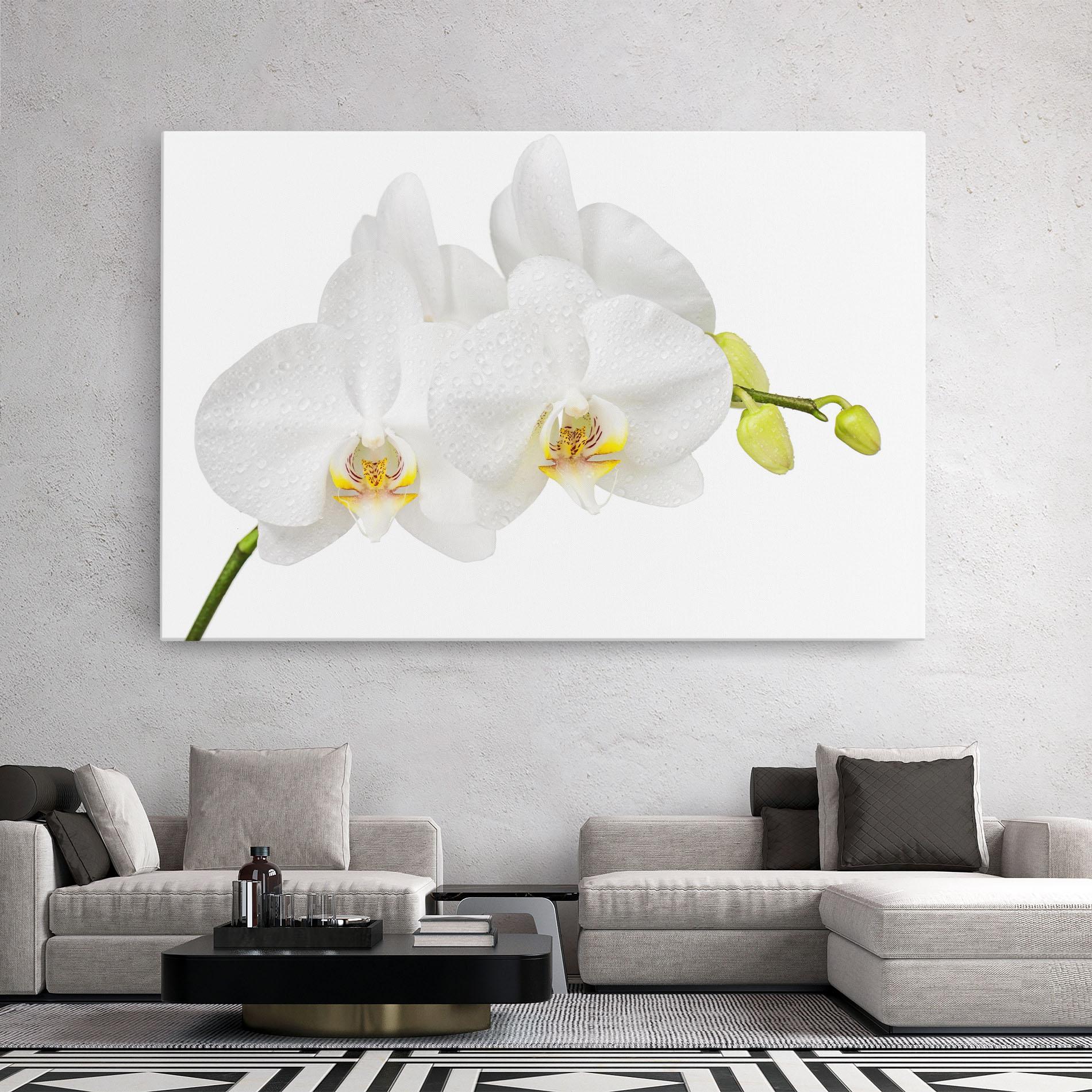 Картина на платно Orchids On White mockup 2
