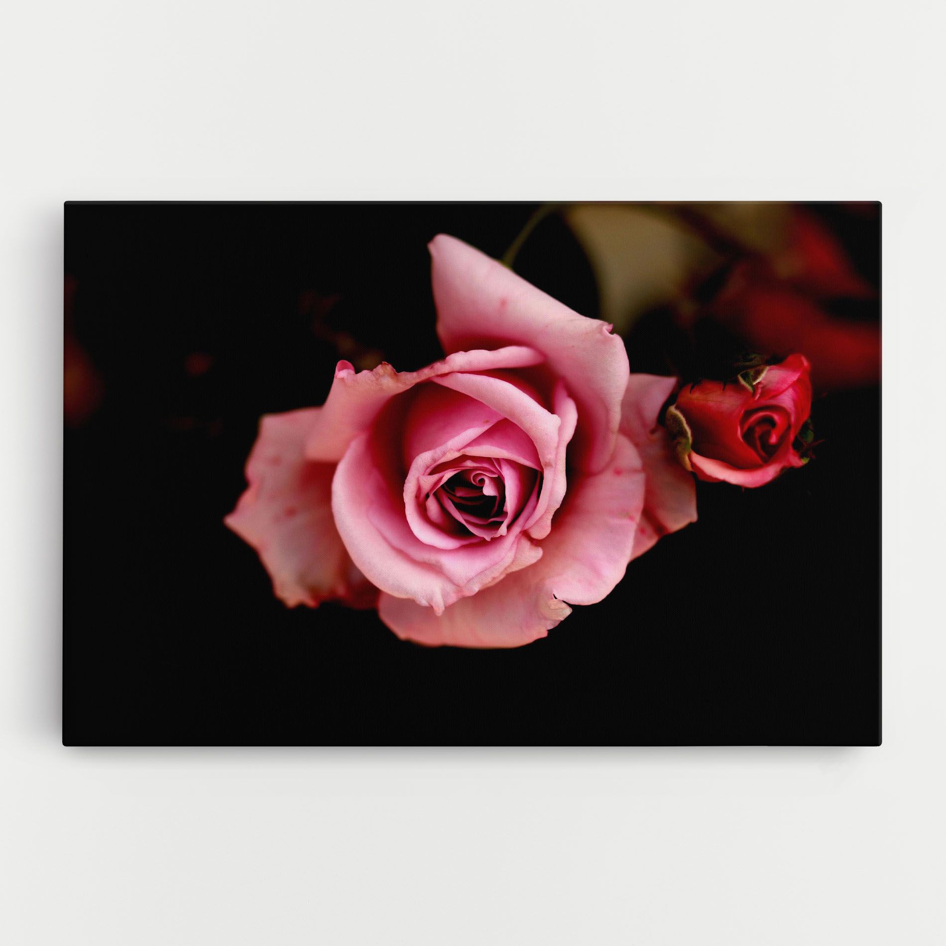 Opened Pink Rose mockup 0