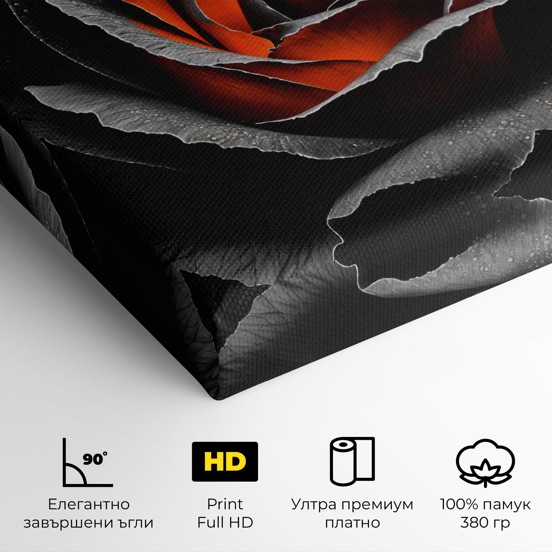 Grey Orange Rose mockup 4