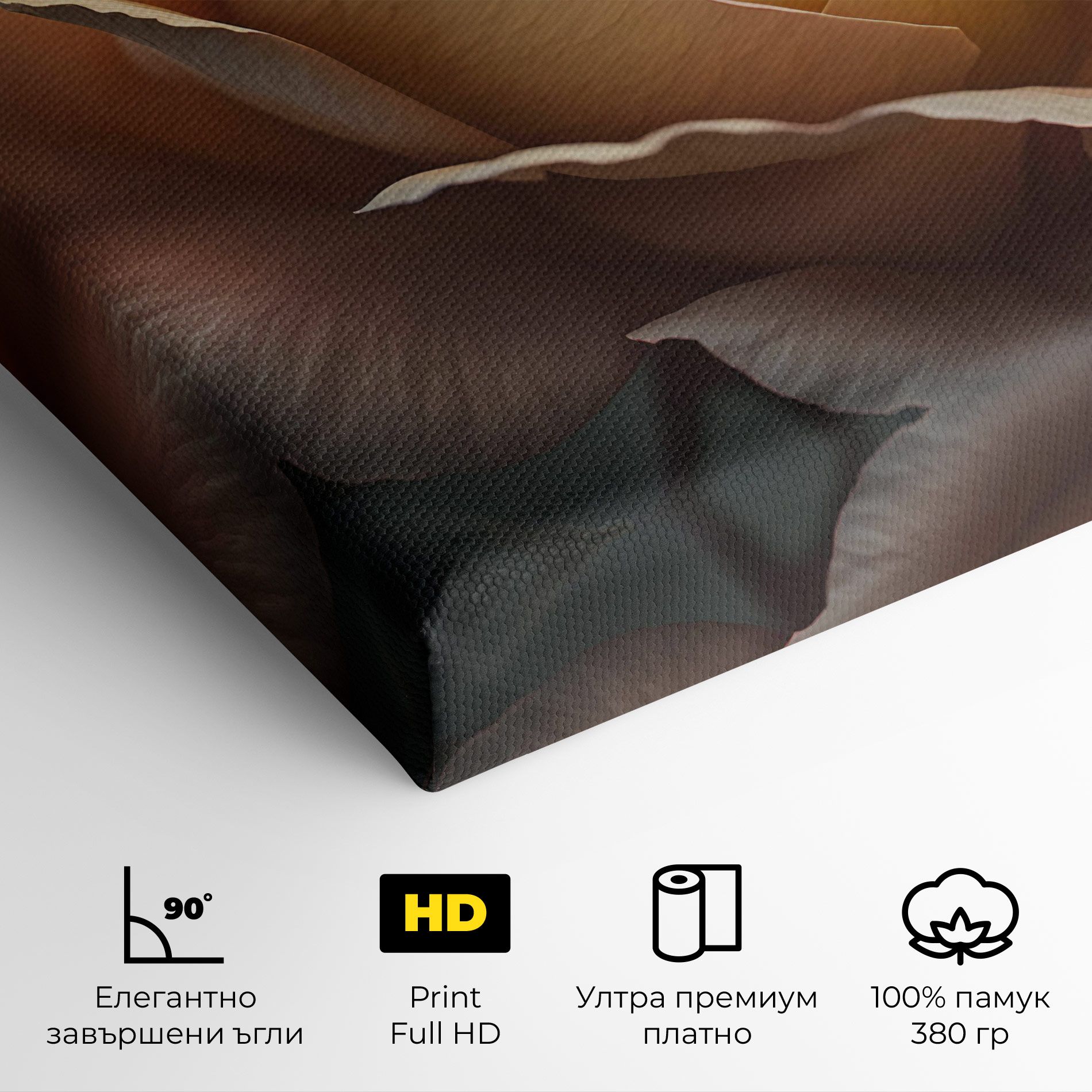 Light Orange Rose Close Up mockup 4