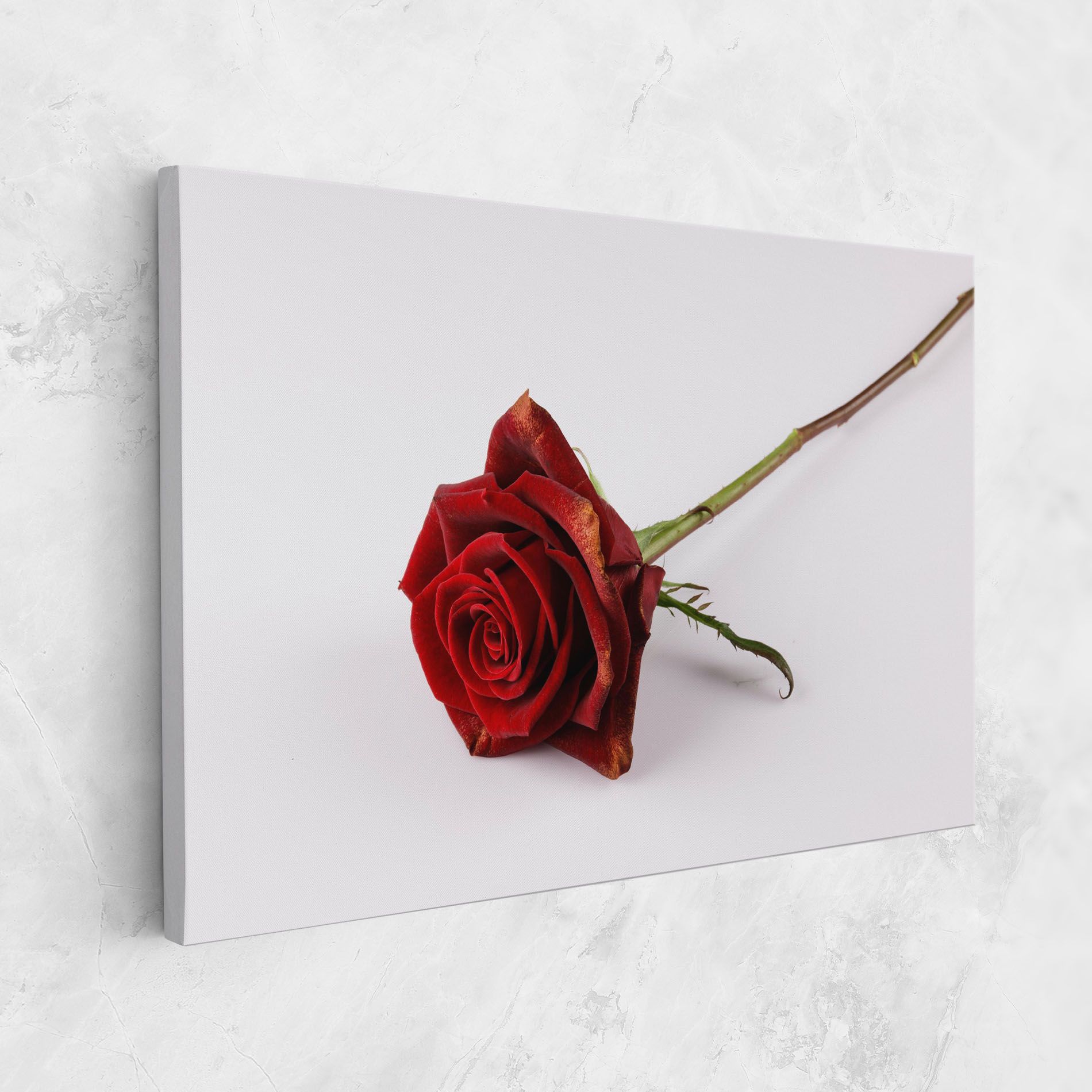 Lonely Rose mockup 1
