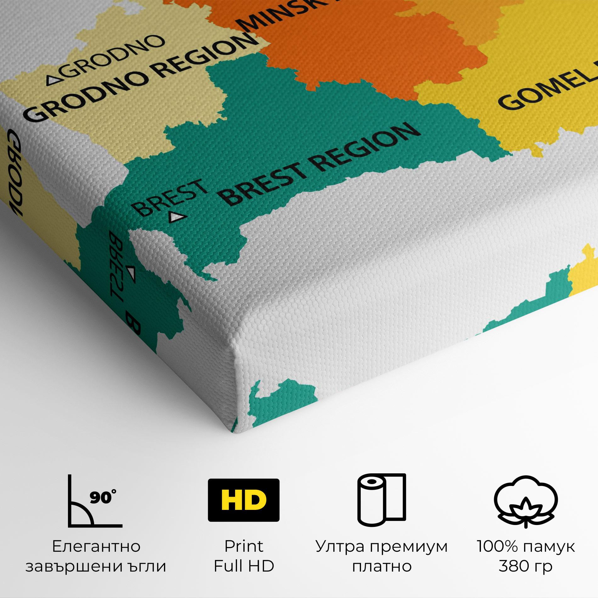 Картина на платно Belarus Color Map mockup 4