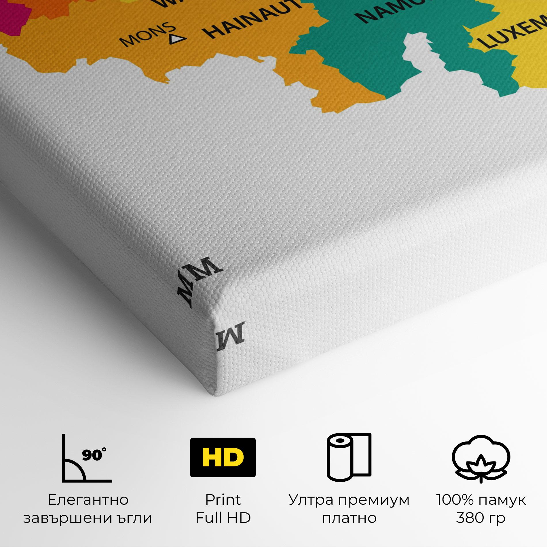 Картина на платно Belgium Color Map mockup 4