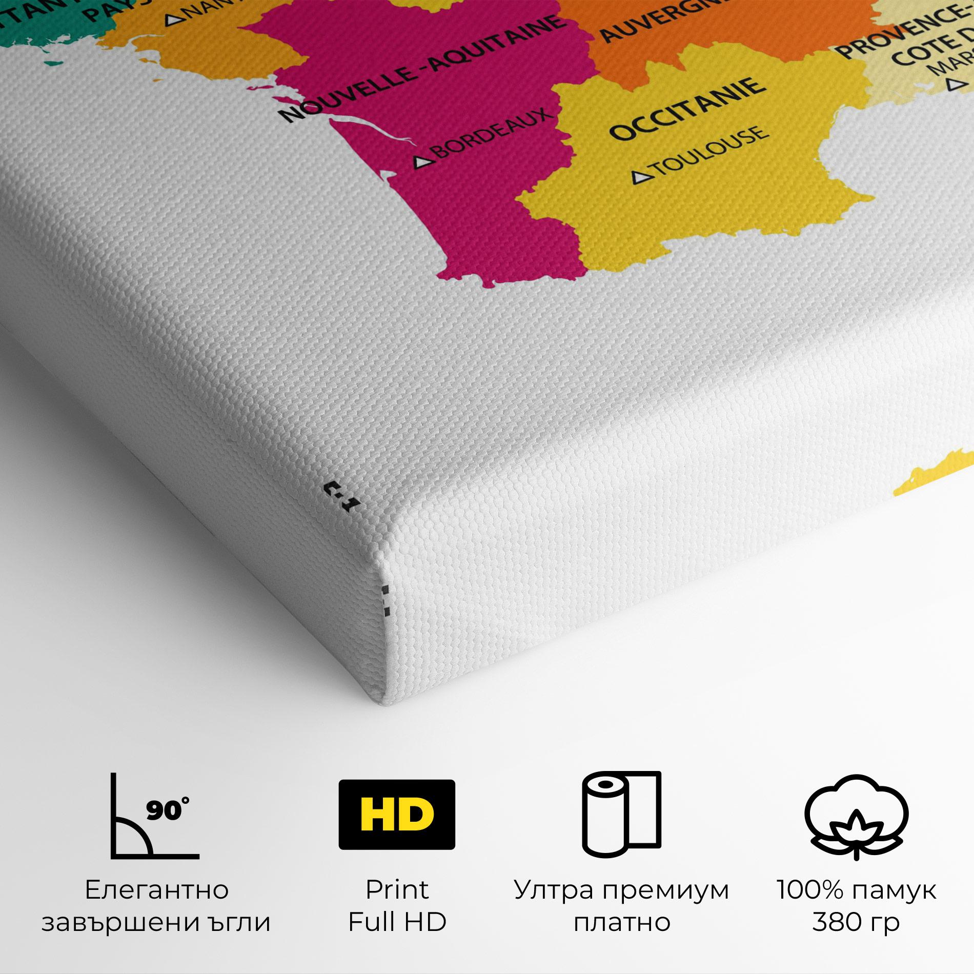 Картина на платно France Color Map mockup 4