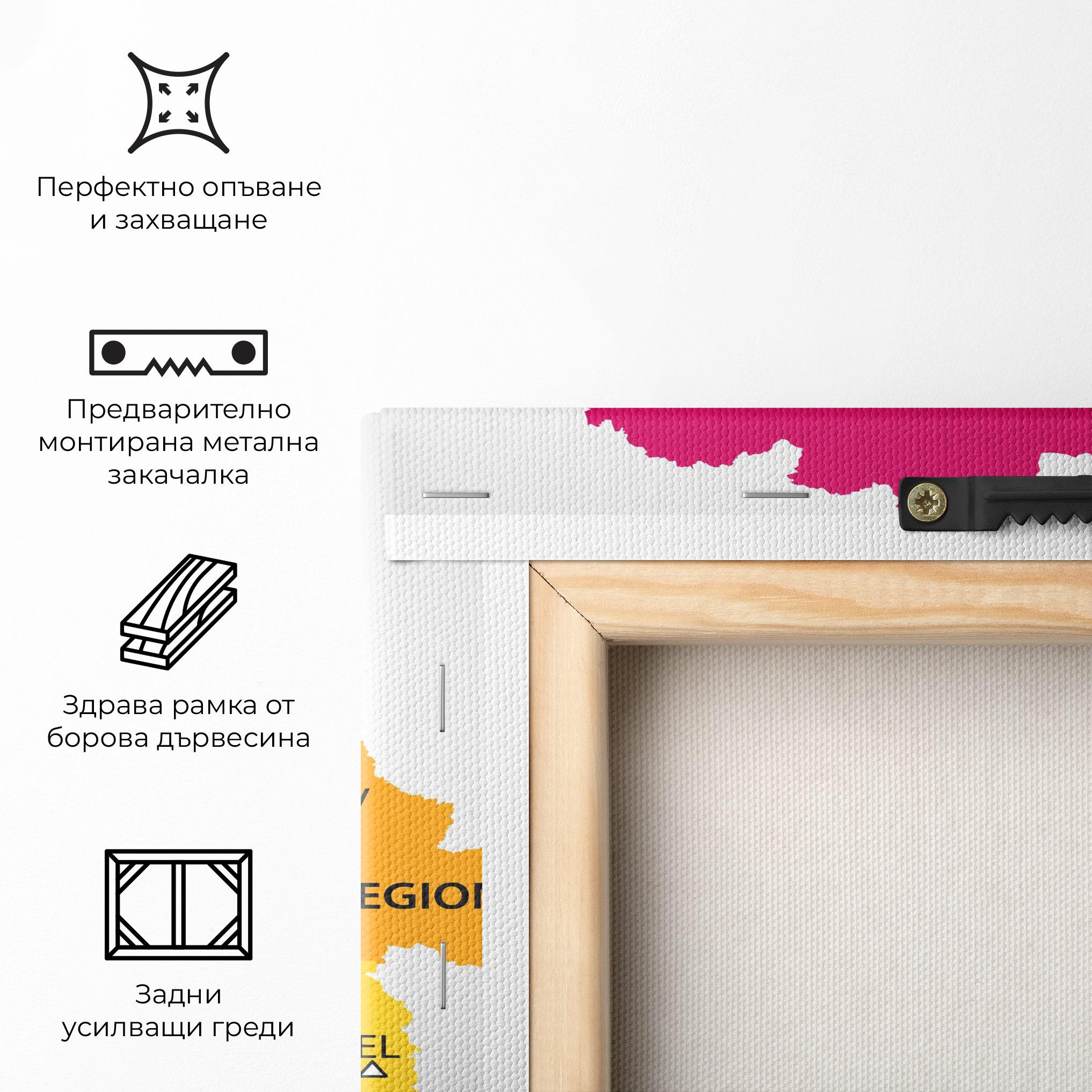 Картина на платно Belarus Color Map mockup 5