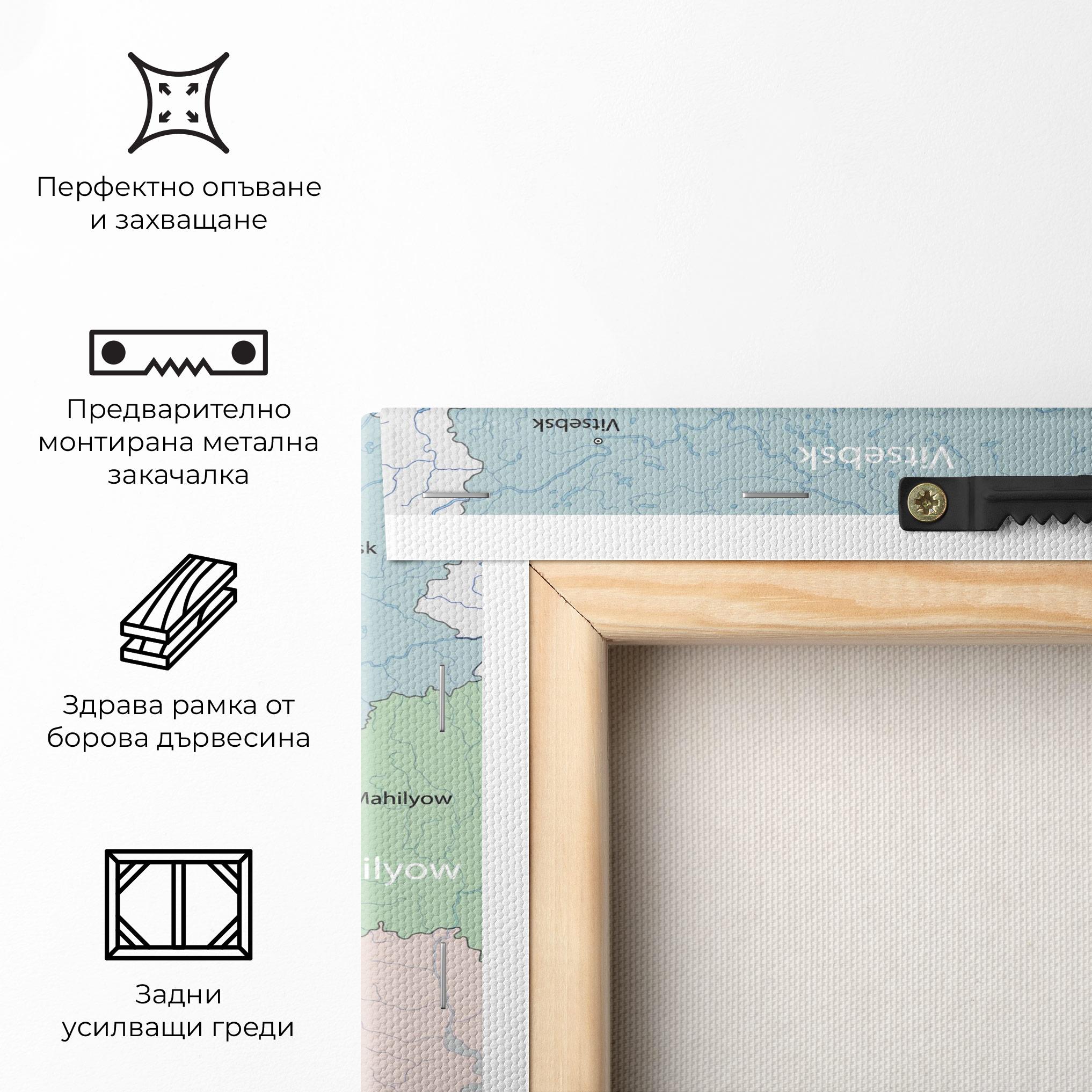 Картина на платно Belarus Map mockup 5