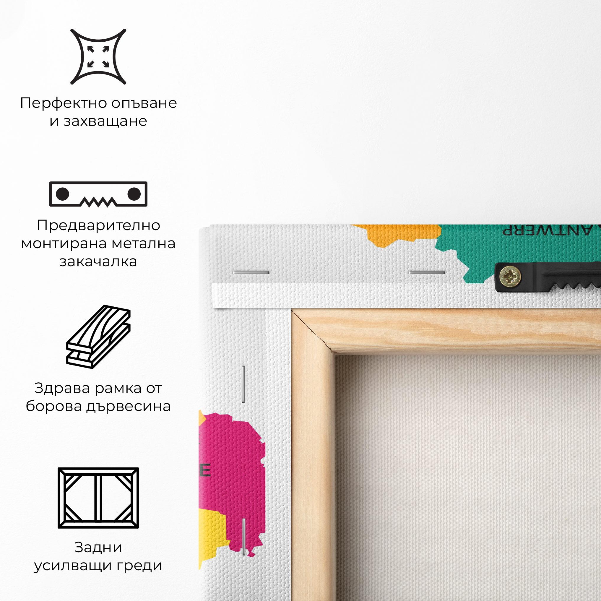 Картина на платно Belgium Color Map mockup 5