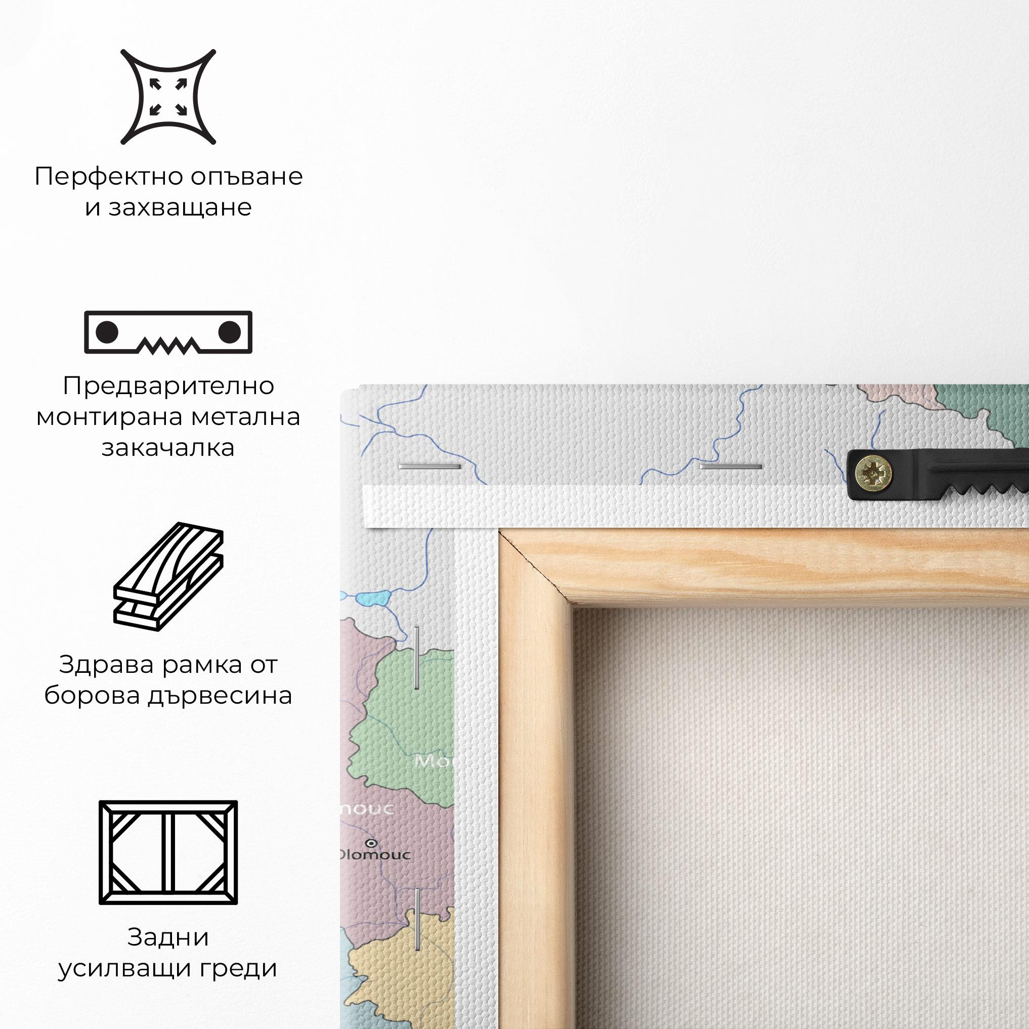 Картина на платно Czech Republic Map mockup 5