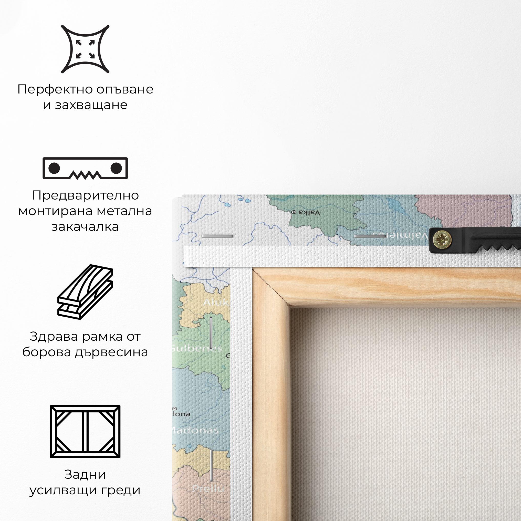Картина на платно Latvia Color Map mockup 5