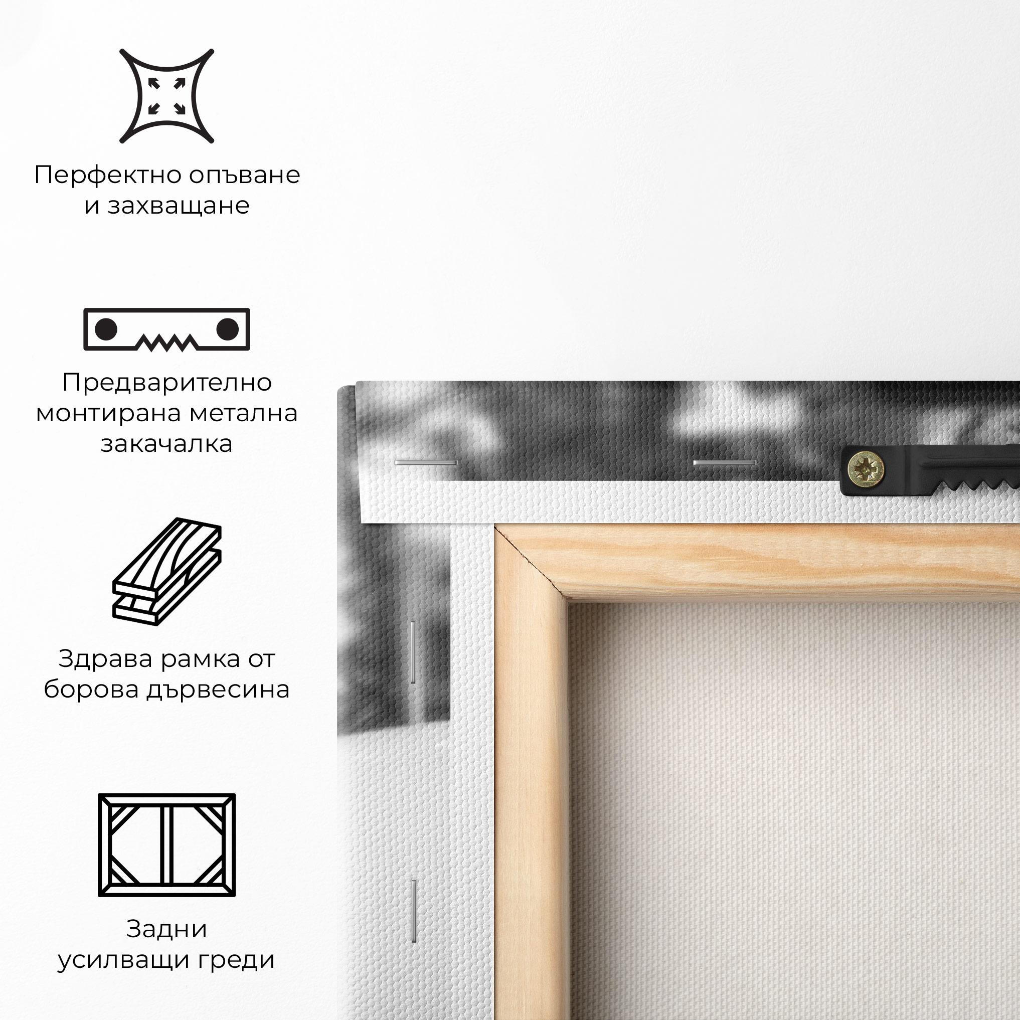 Картина на платно Closeup Grey Car mockup 5