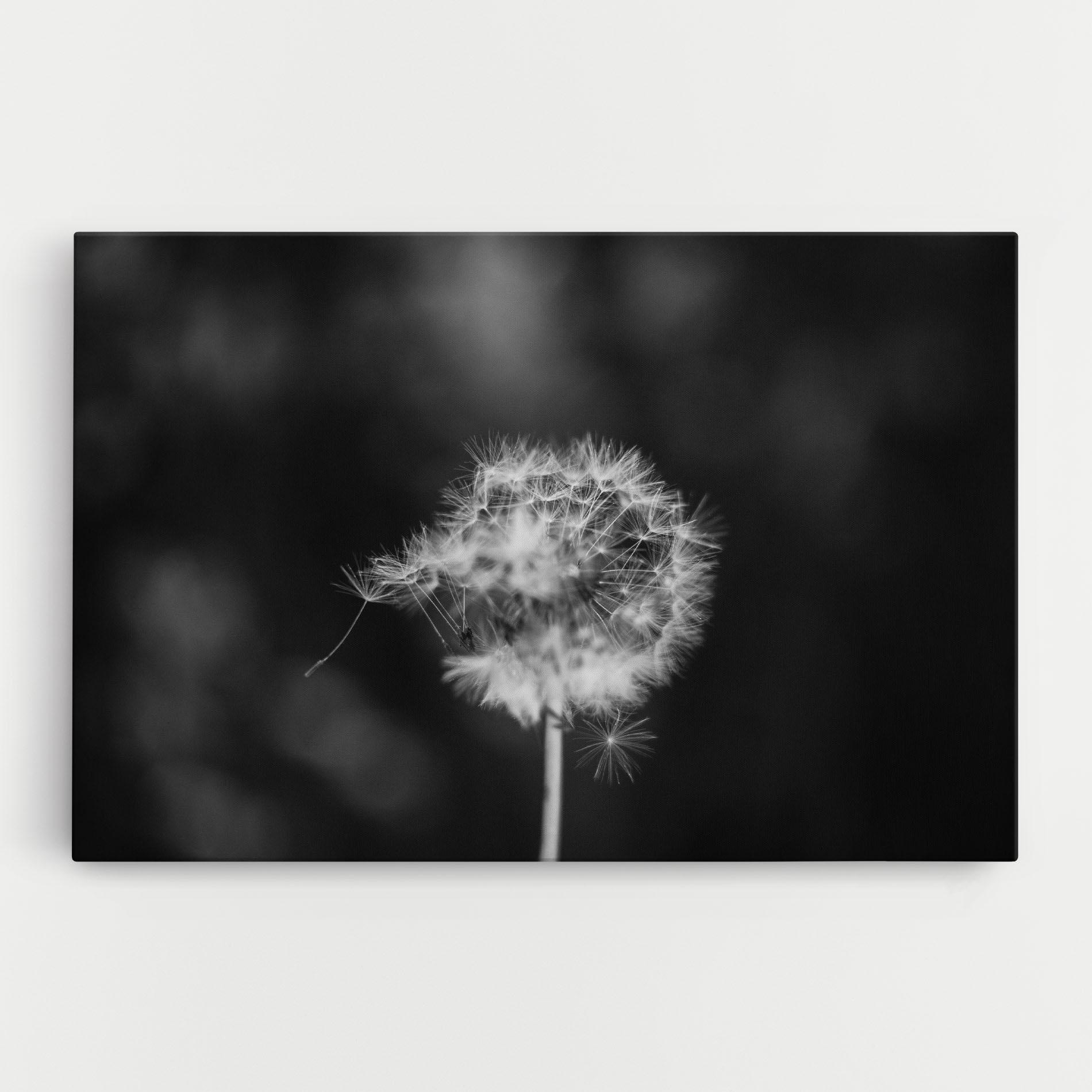Картина на платно Grey Dandelion mockup 0