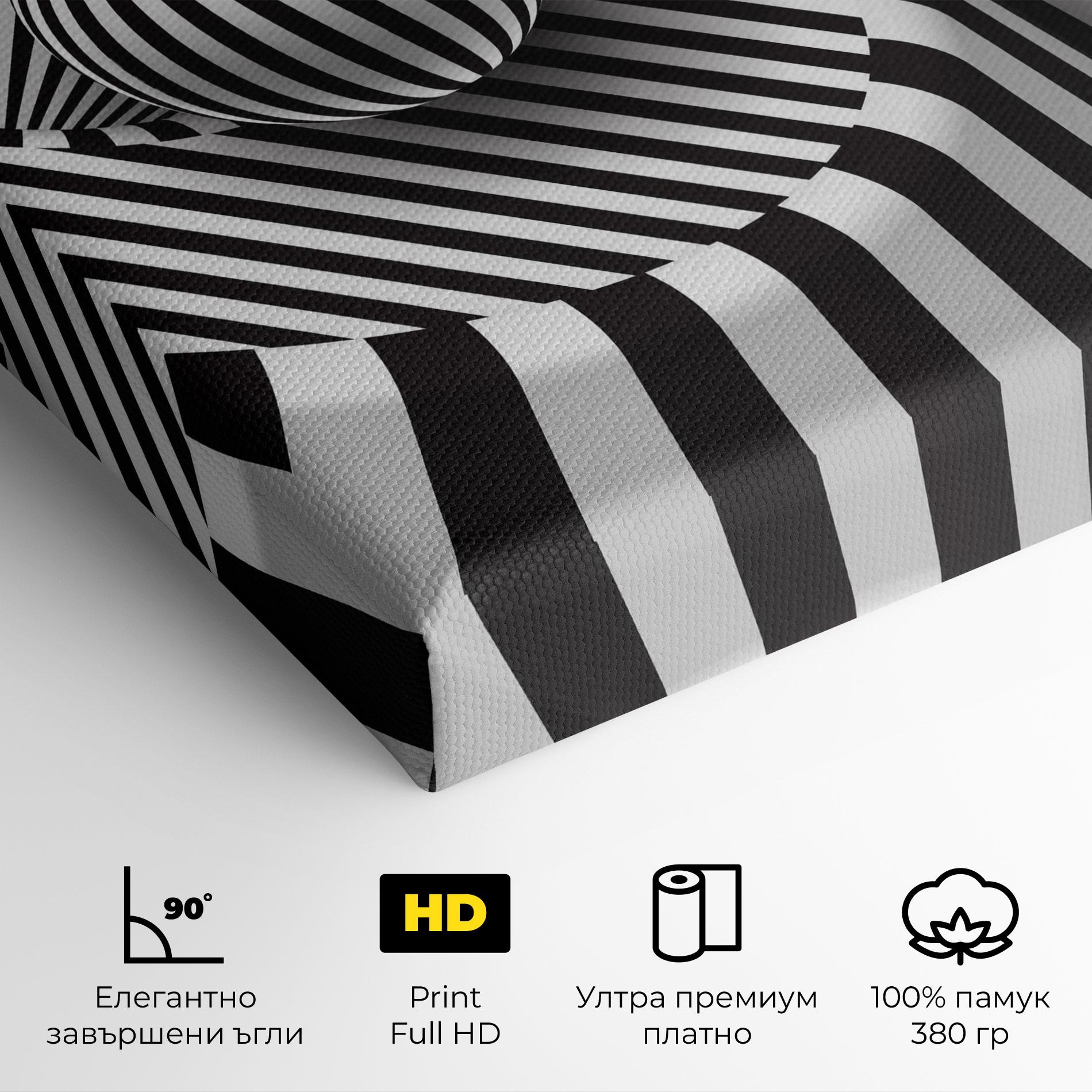 Картина на платно 3d Ball Zebra mockup 4