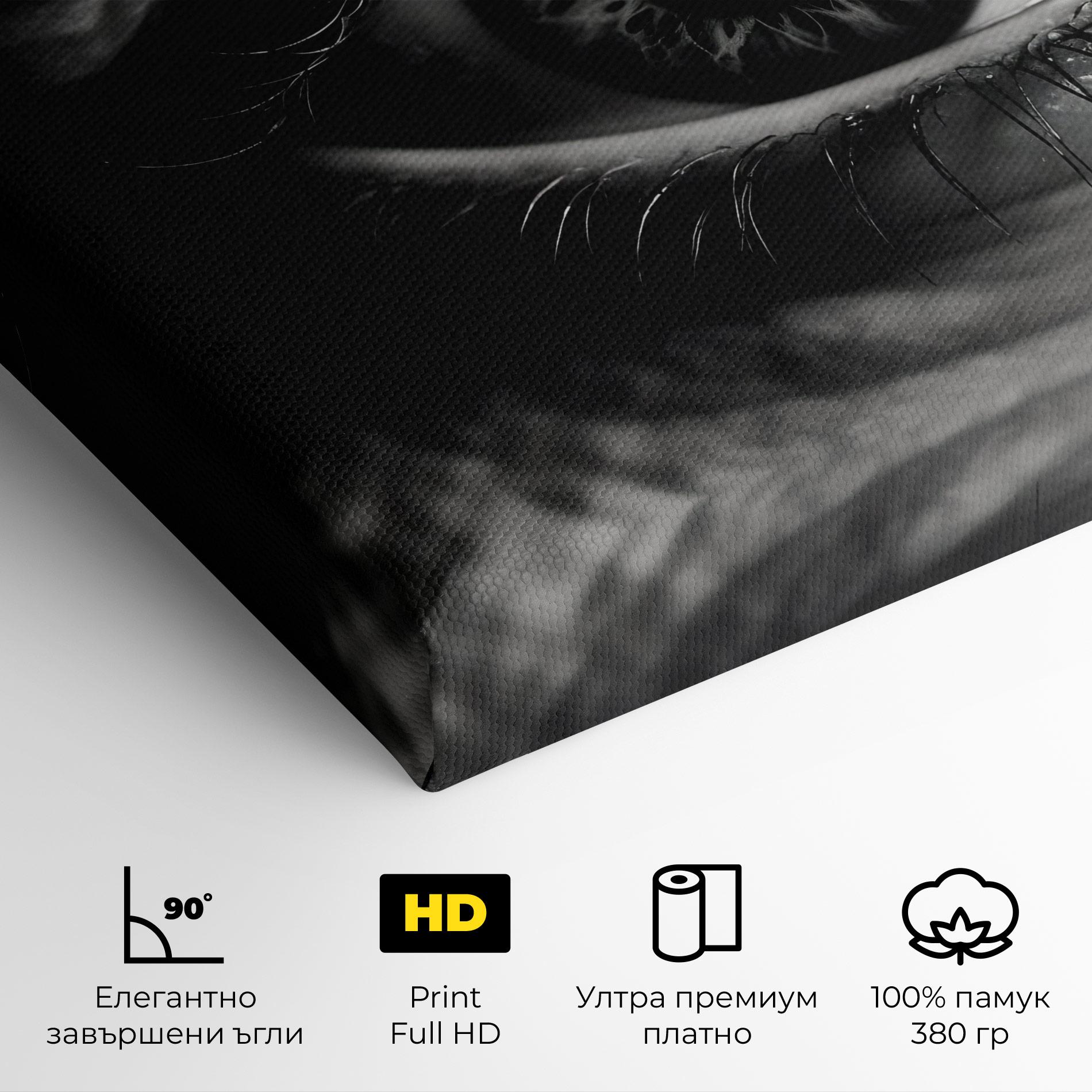 Картина на платно Eye Close Up mockup 4