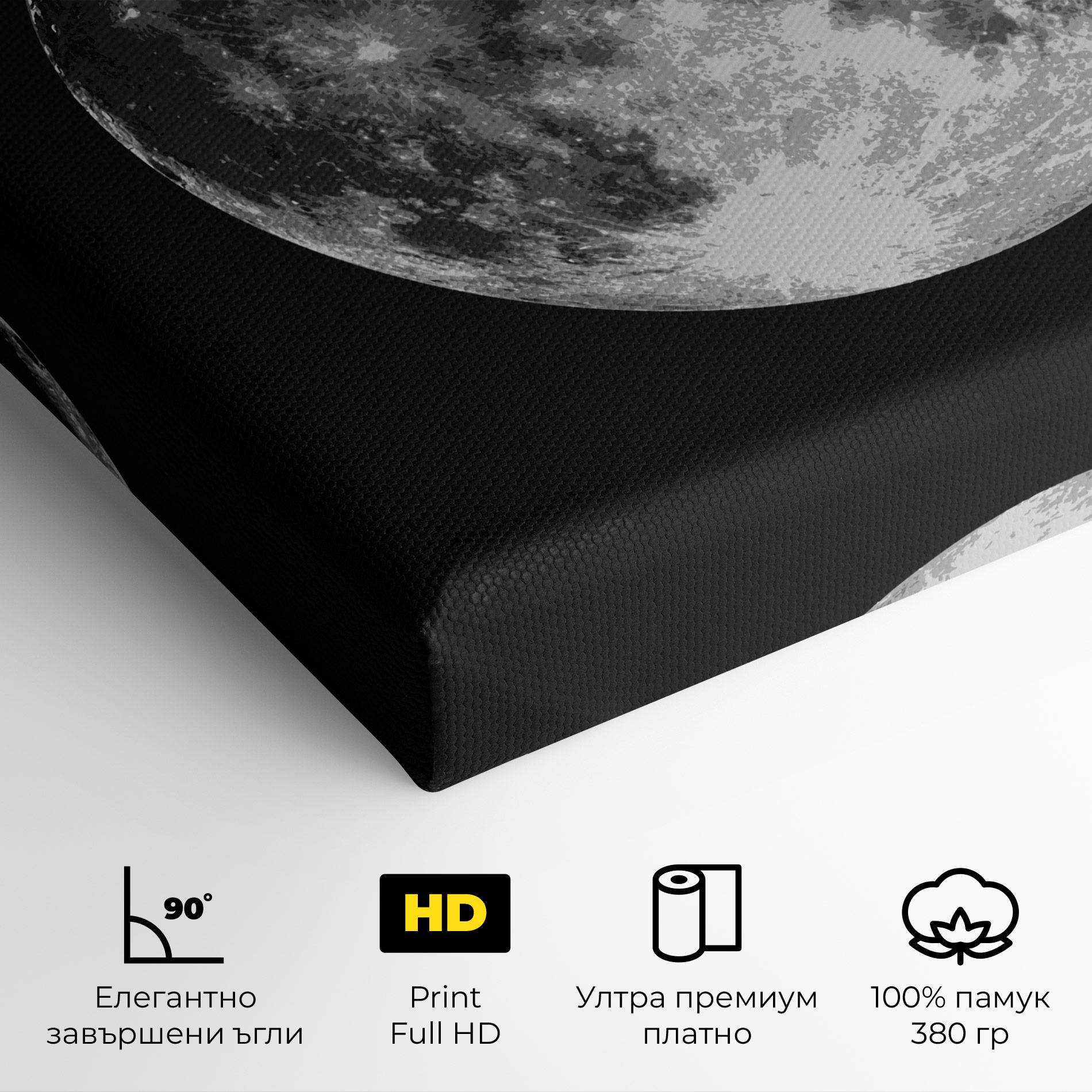 Картина на платно Grey Shiny Moon mockup 4