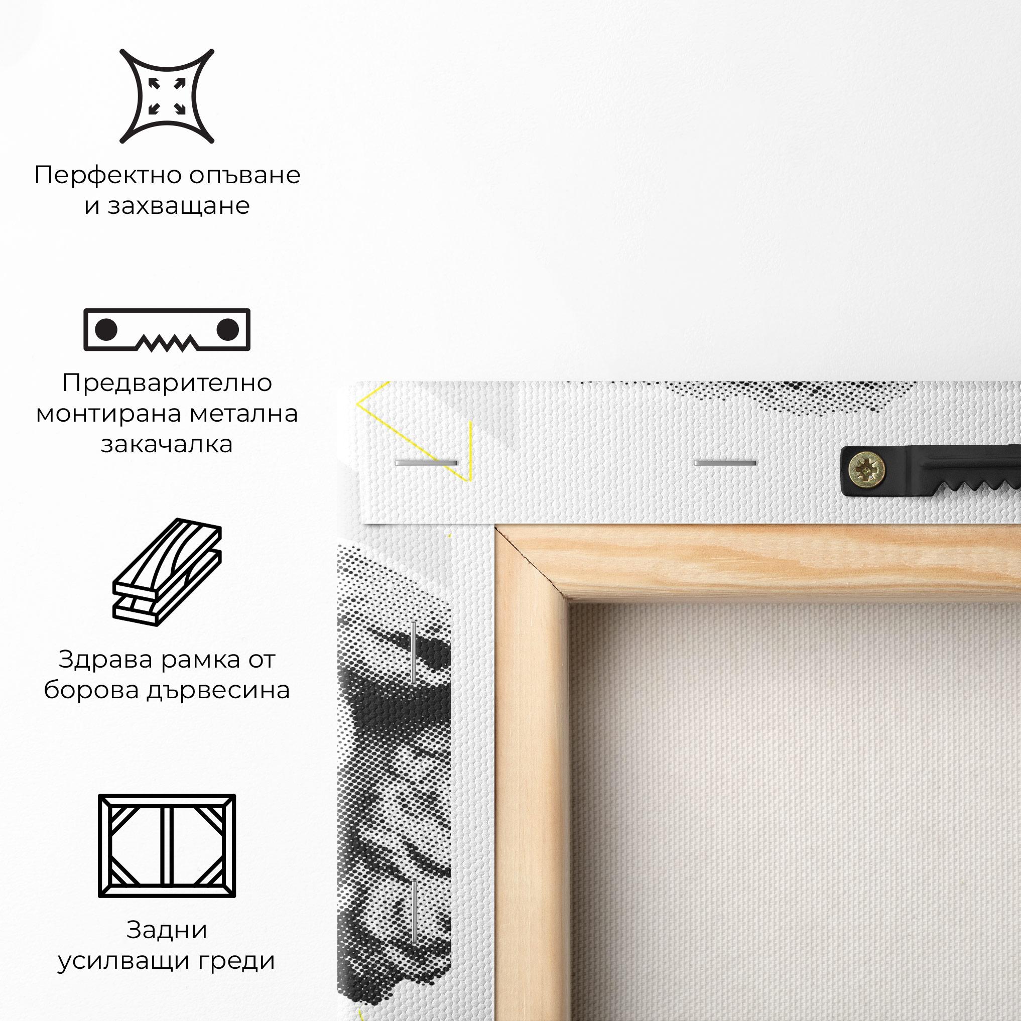 Картина на платно Lion Collage mockup 5