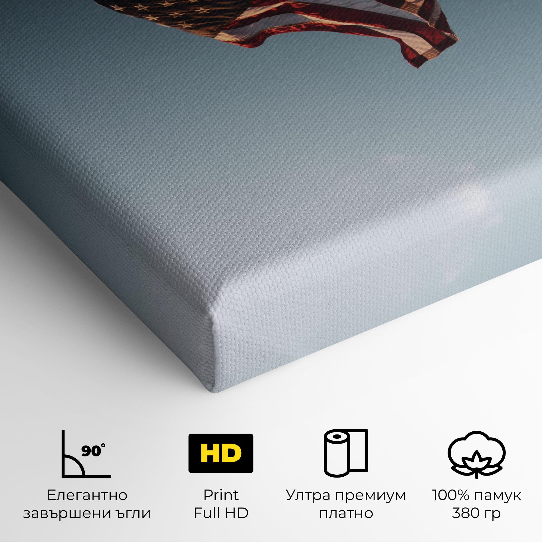 Картина на платно Usa Flag mockup 4