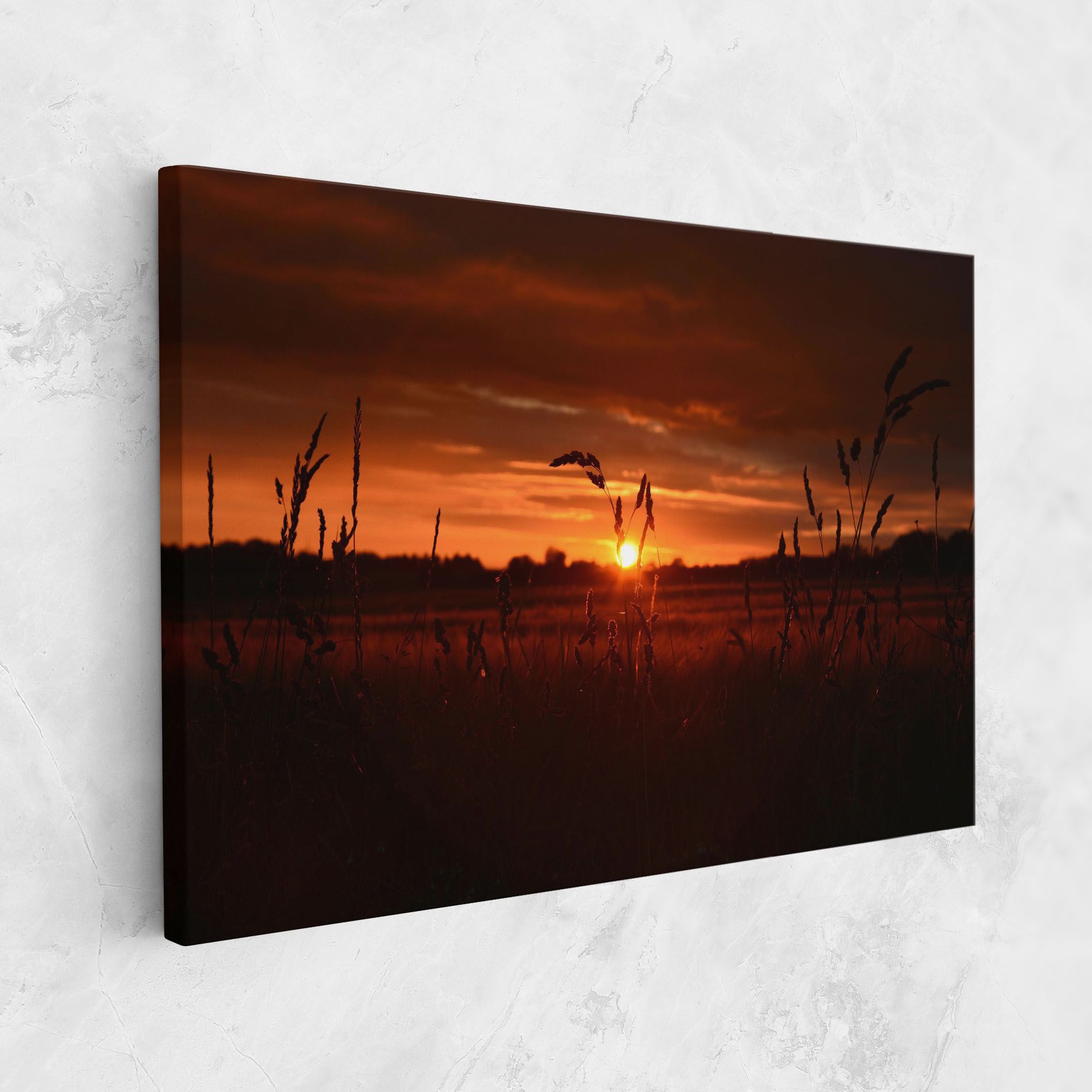 Field Shilouette mockup 1