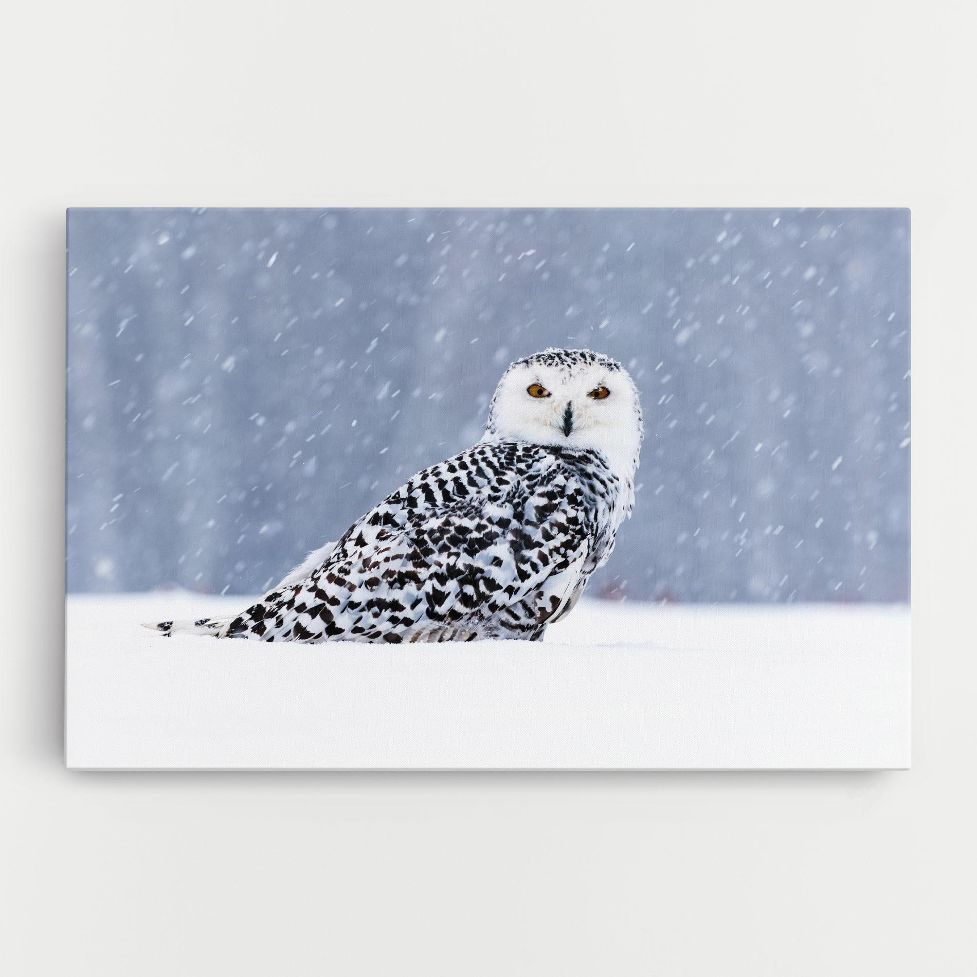 Картина на платно Snow Owl mockup 0