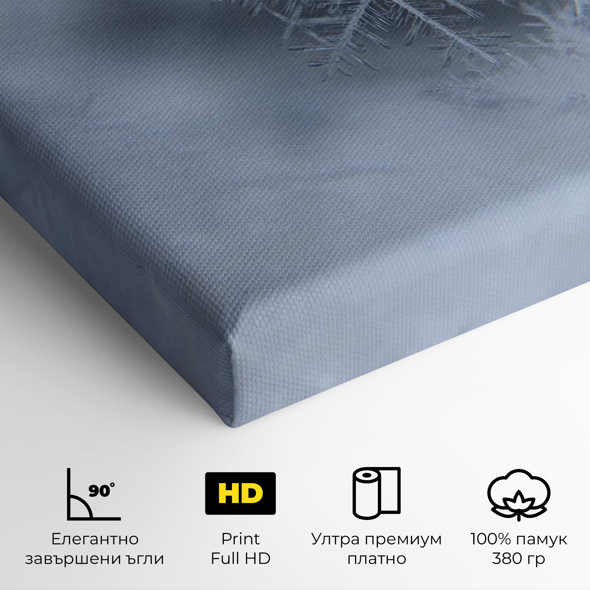 Картина на платно Pretty Snowflake mockup 4