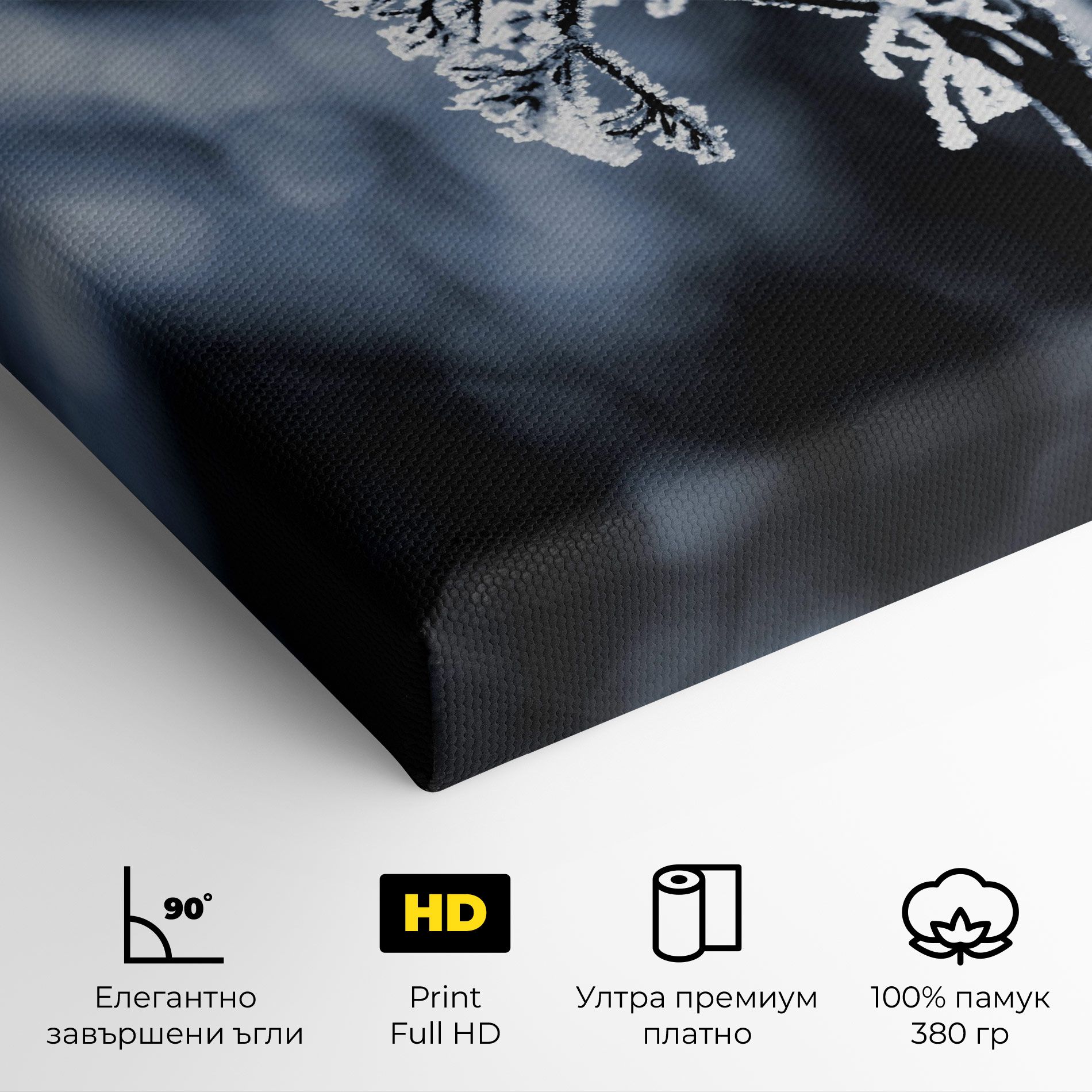 Winter Plant mockup 4