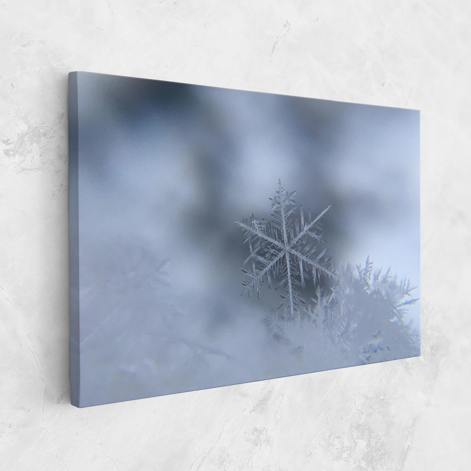 Картина на платно Pretty Snowflake mockup 1