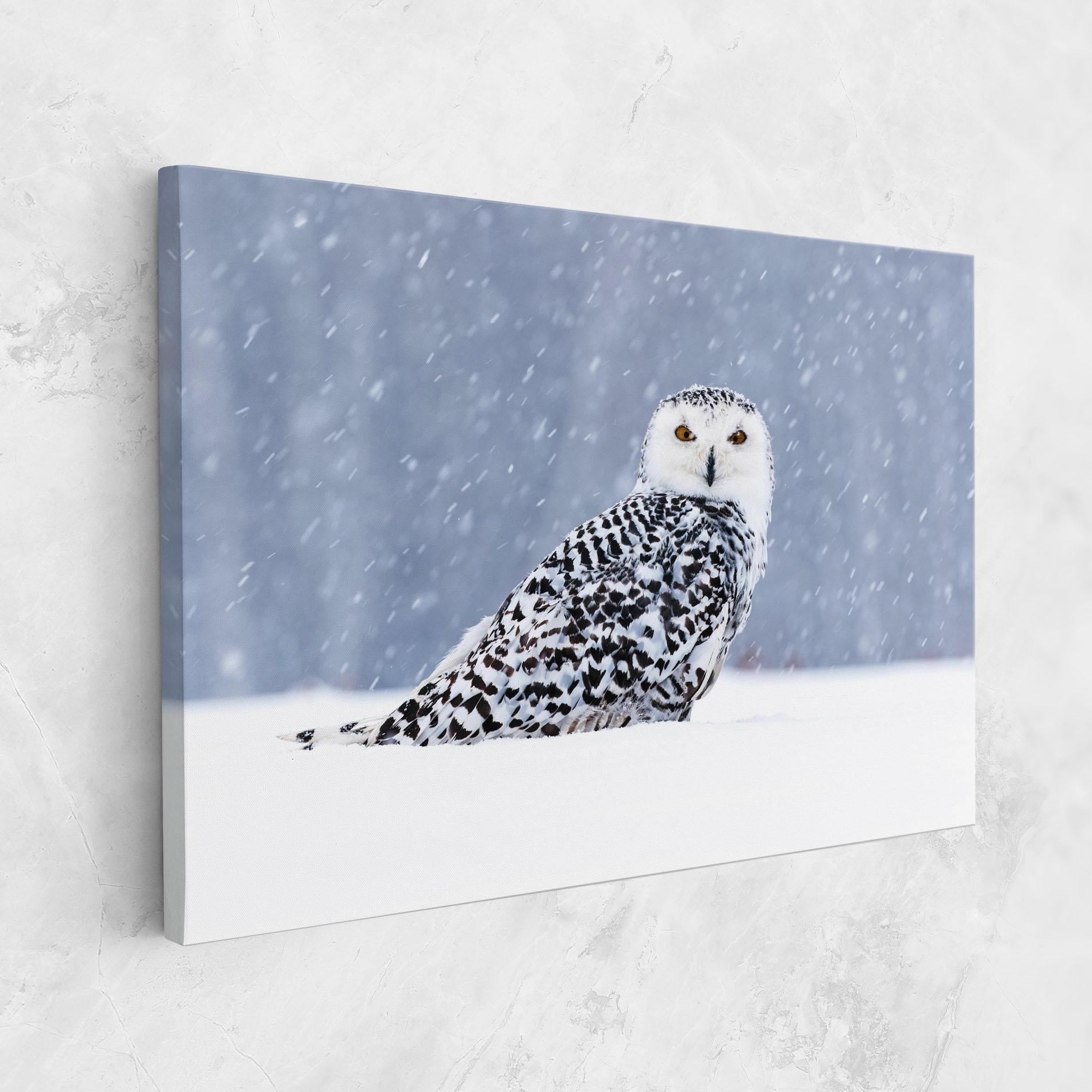 Картина на платно Snow Owl mockup 1