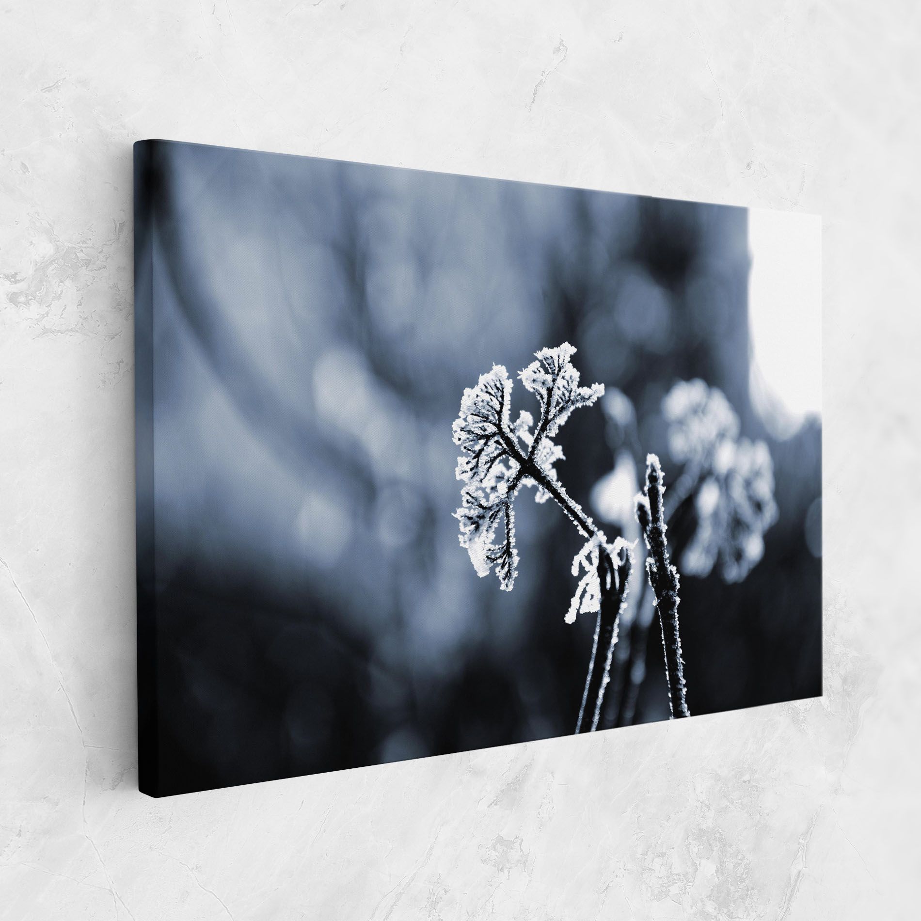 Winter Plant mockup 1