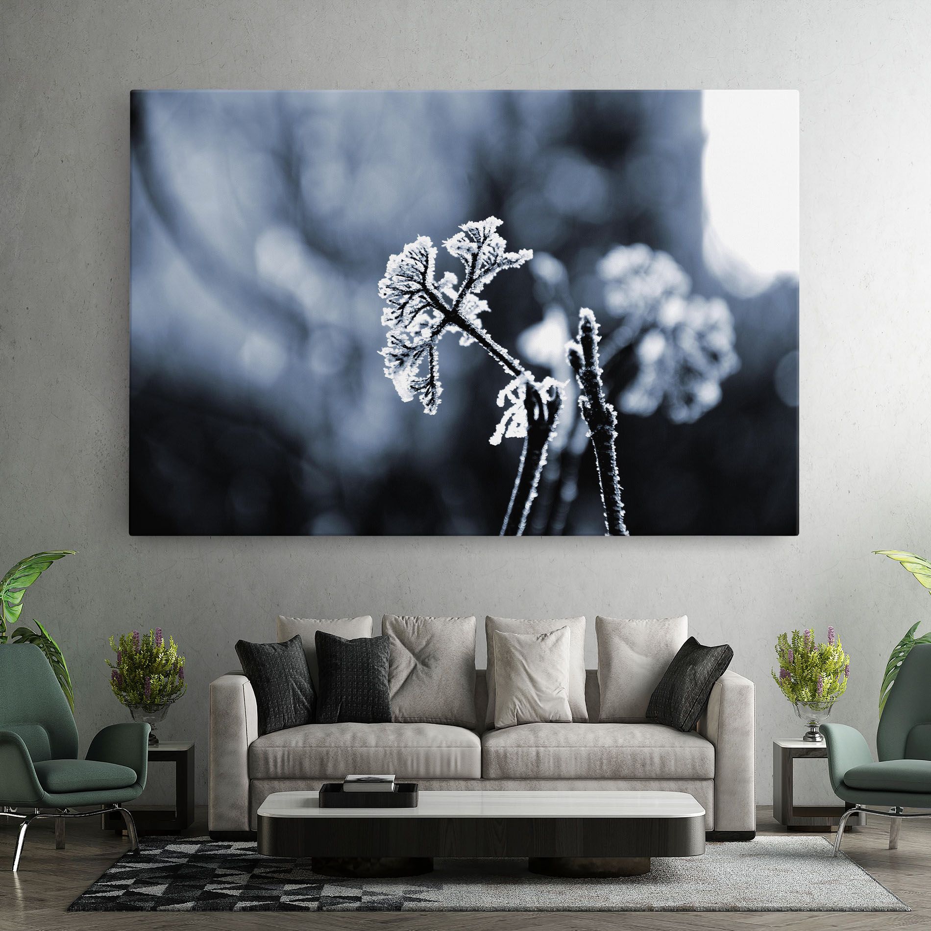 Winter Plant mockup 7