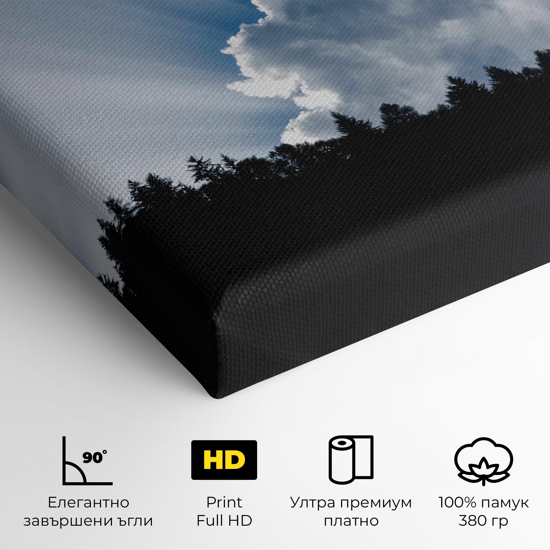 Картина на платно Big White Cloud Light mockup 4