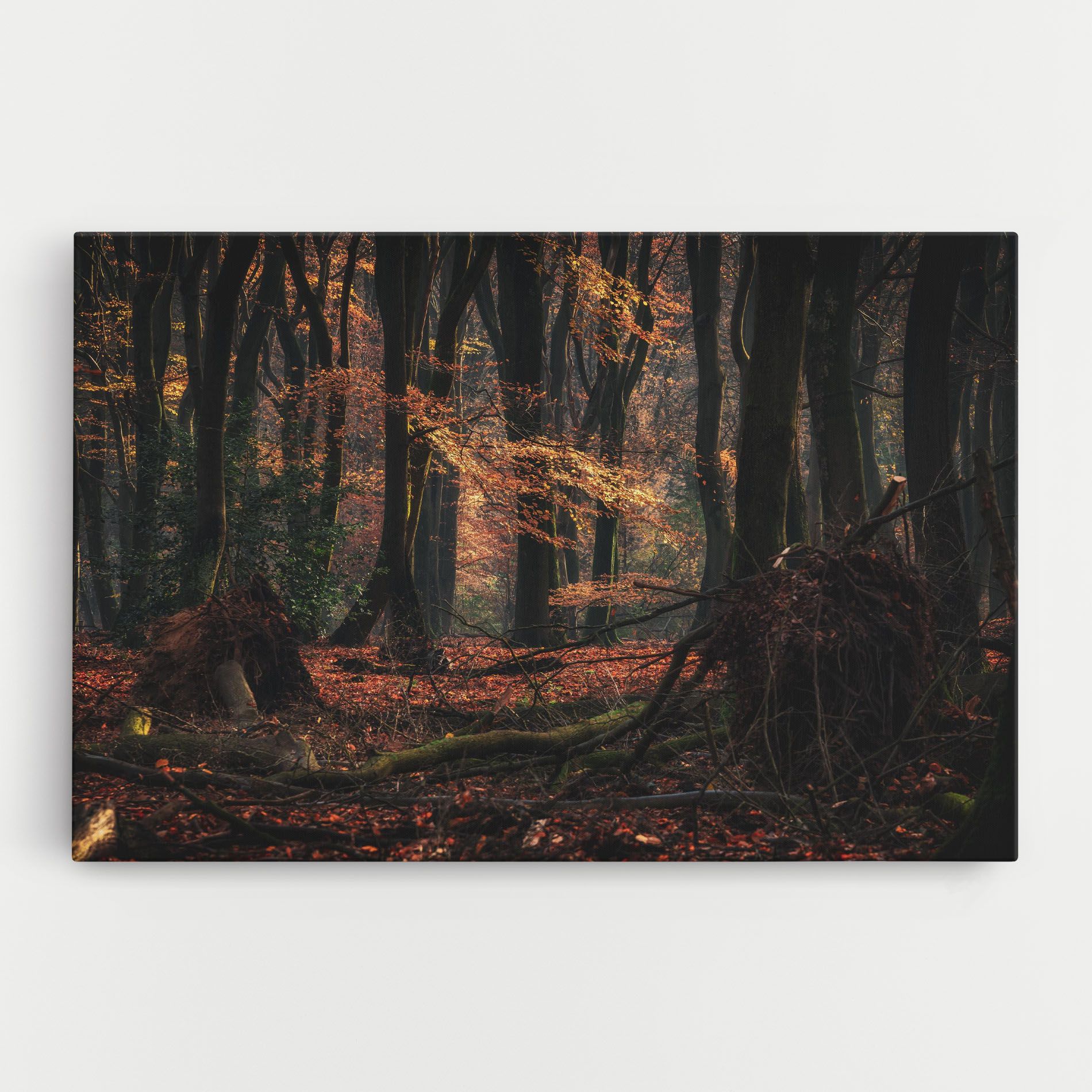 Autumn Forest Trees mockup 0