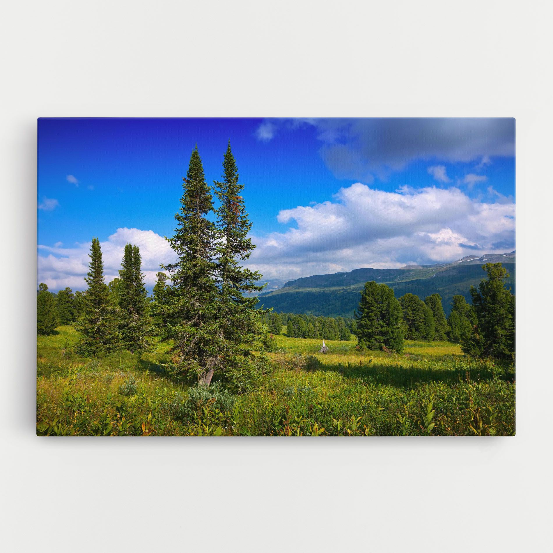 Morning Sunny Field mockup 0