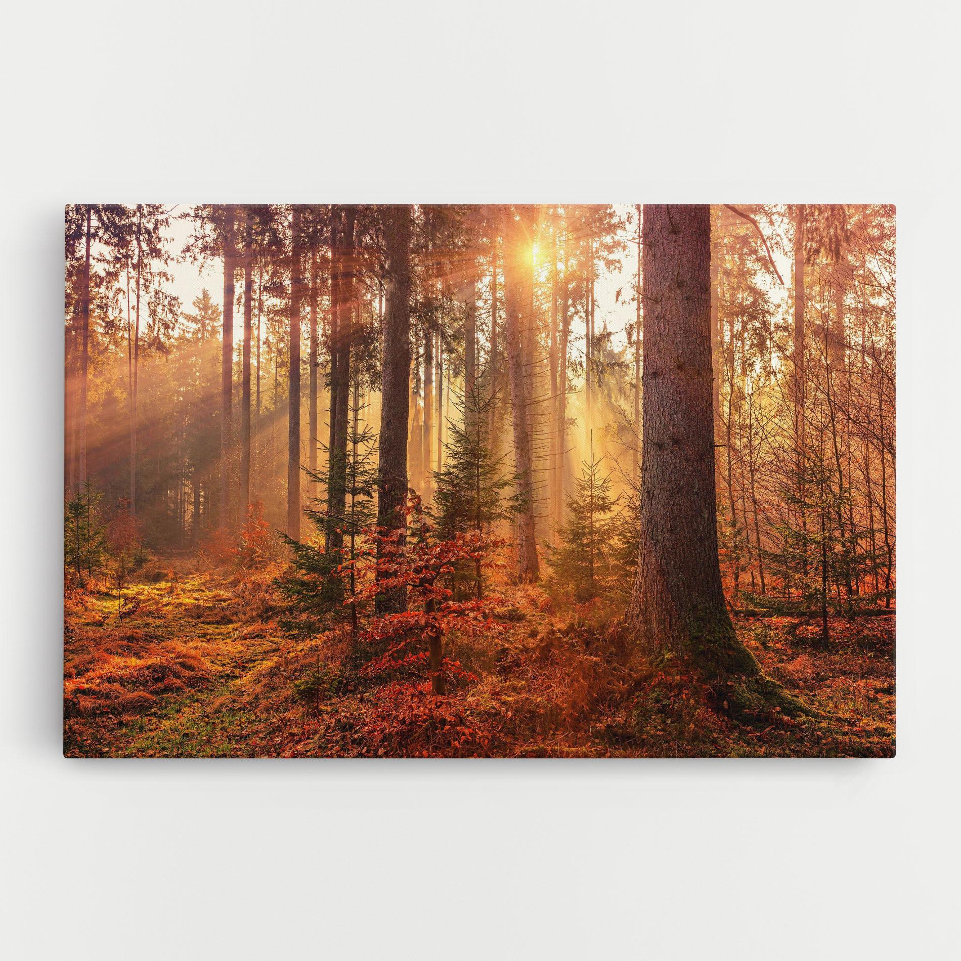 Картина на платно Orange Light Forest mockup 0