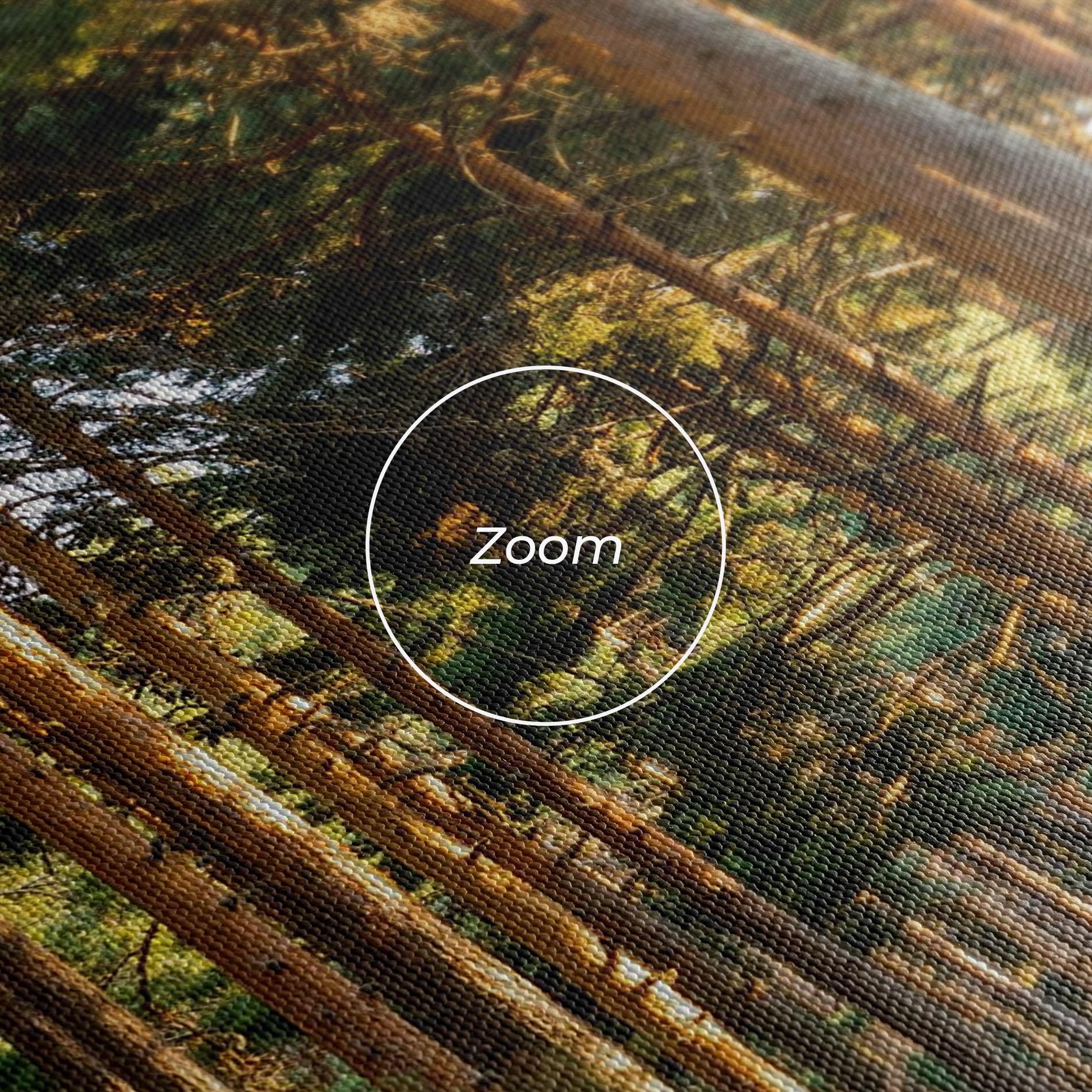 Картина на платно Big Trees Forest mockup 3