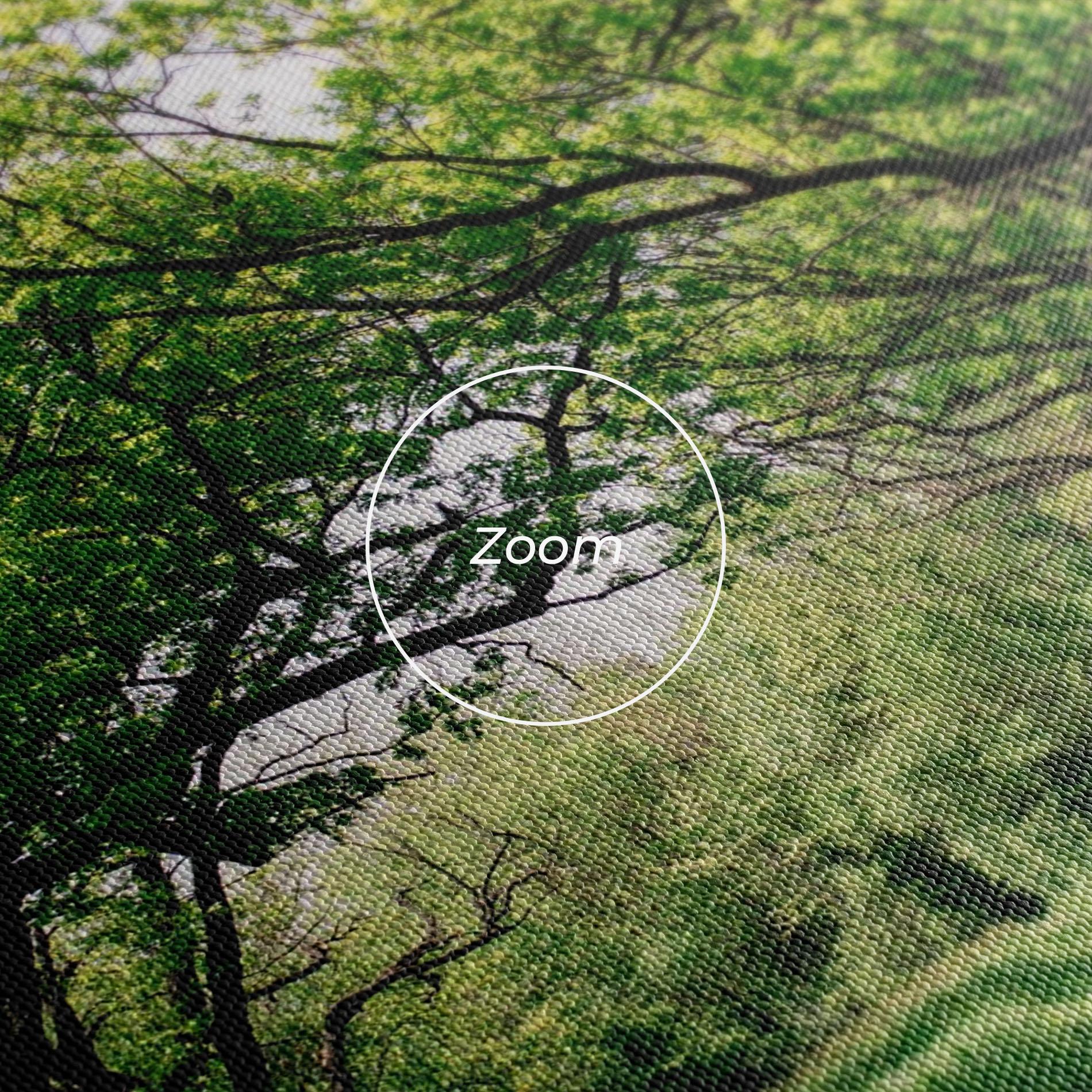 Картина на платно Forest Green Path mockup 3