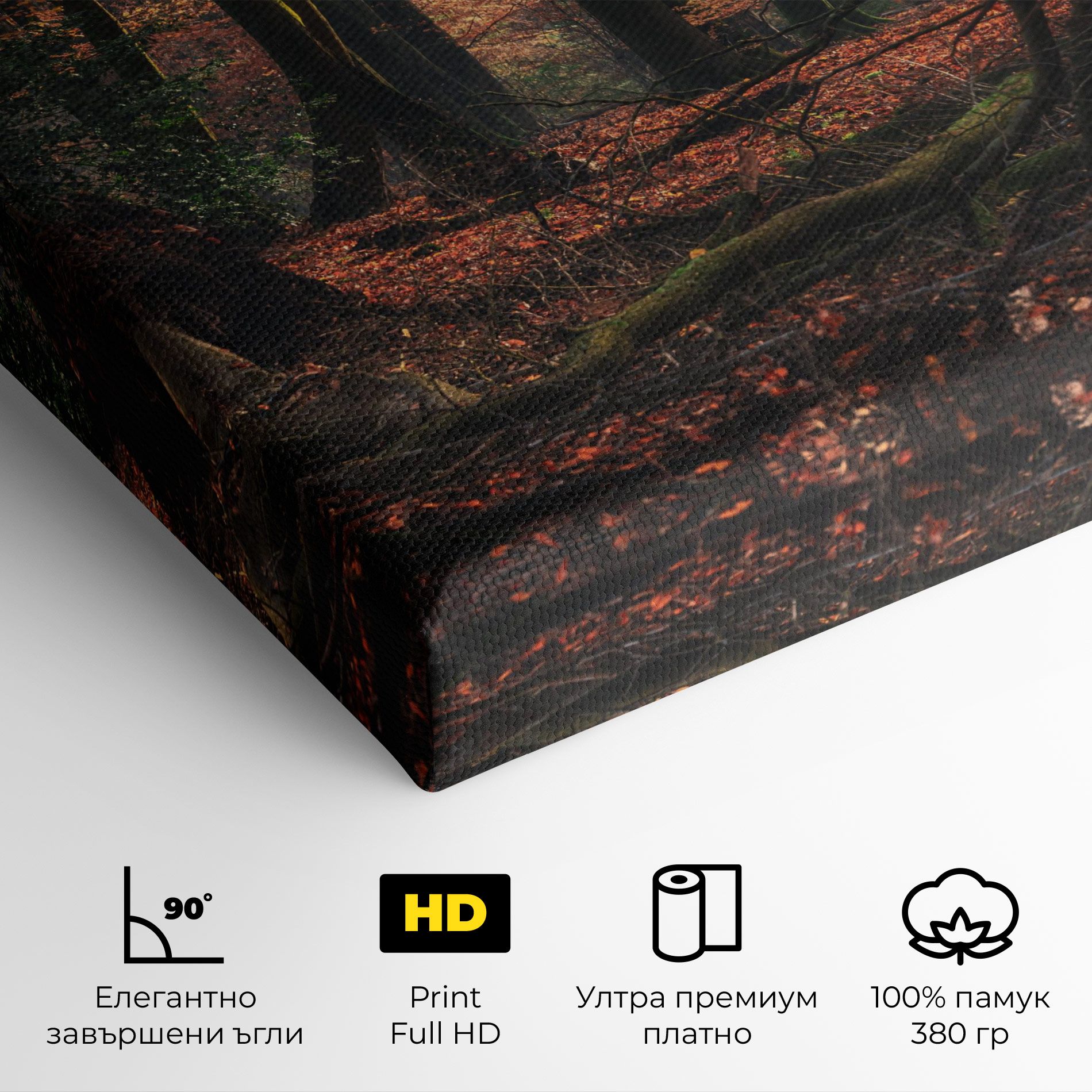 Autumn Forest Trees mockup 4