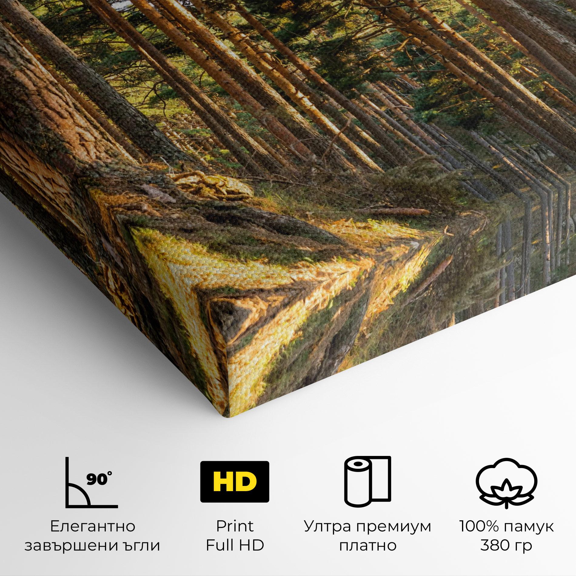 Картина на платно Big Trees Forest mockup 4