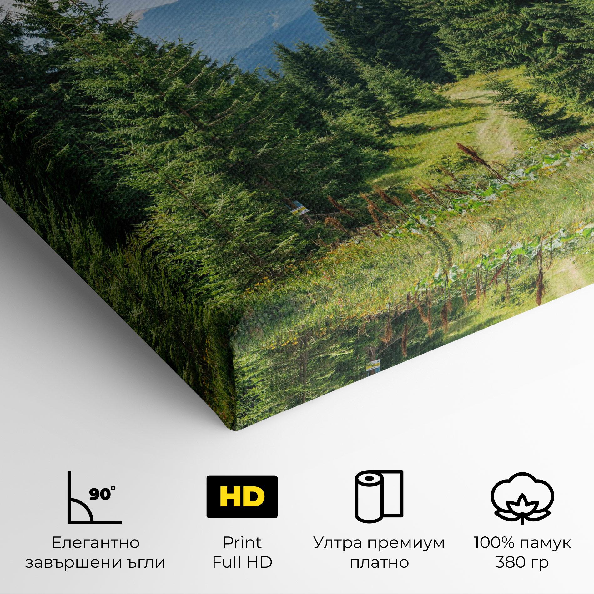 Картина на платно Carpathian Mountain mockup 4