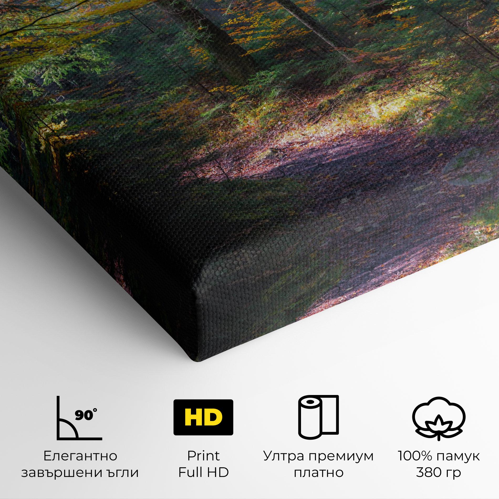 Картина на платно Dreamy Path Dorest mockup 4