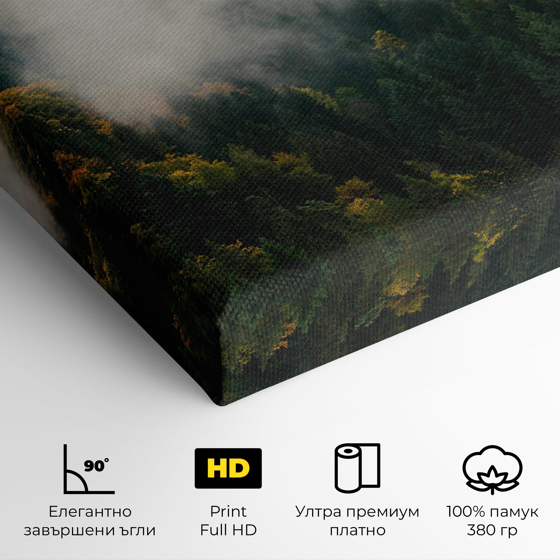 Картина на платно Foggy Tree Forest mockup 4