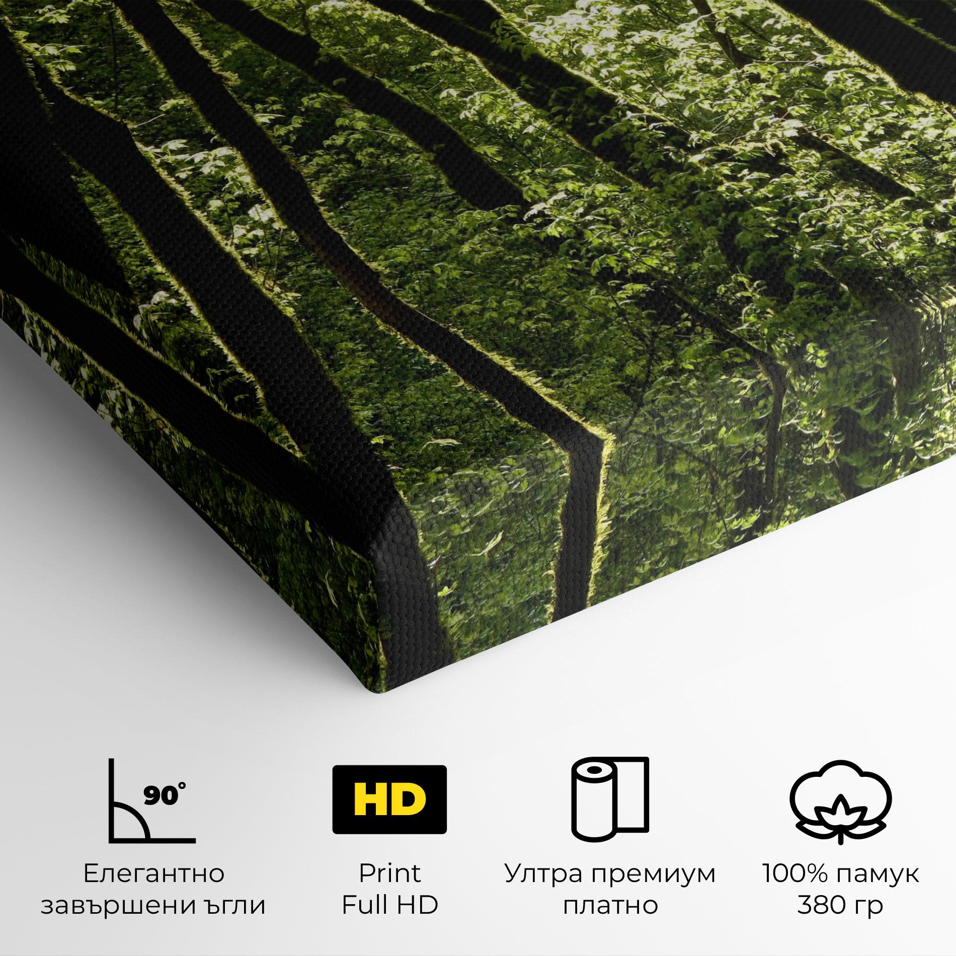 Картина на платно Forest Black Trees mockup 4