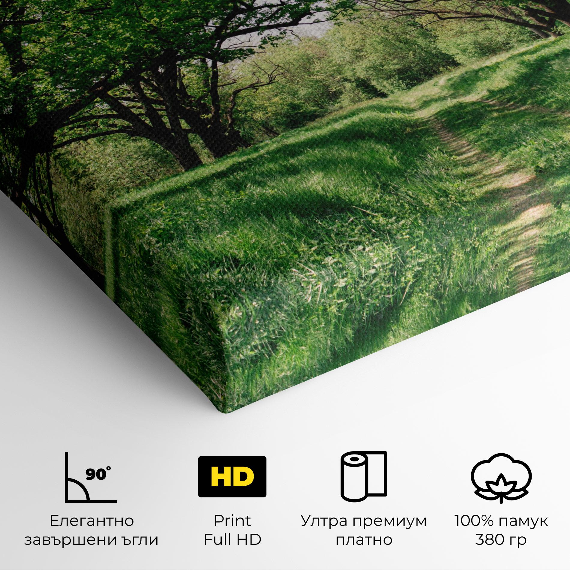 Картина на платно Forest Green Path mockup 4